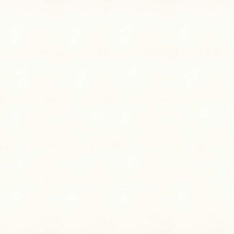 1111 Vivid White by Caesarstone available at Aqua Kitchen