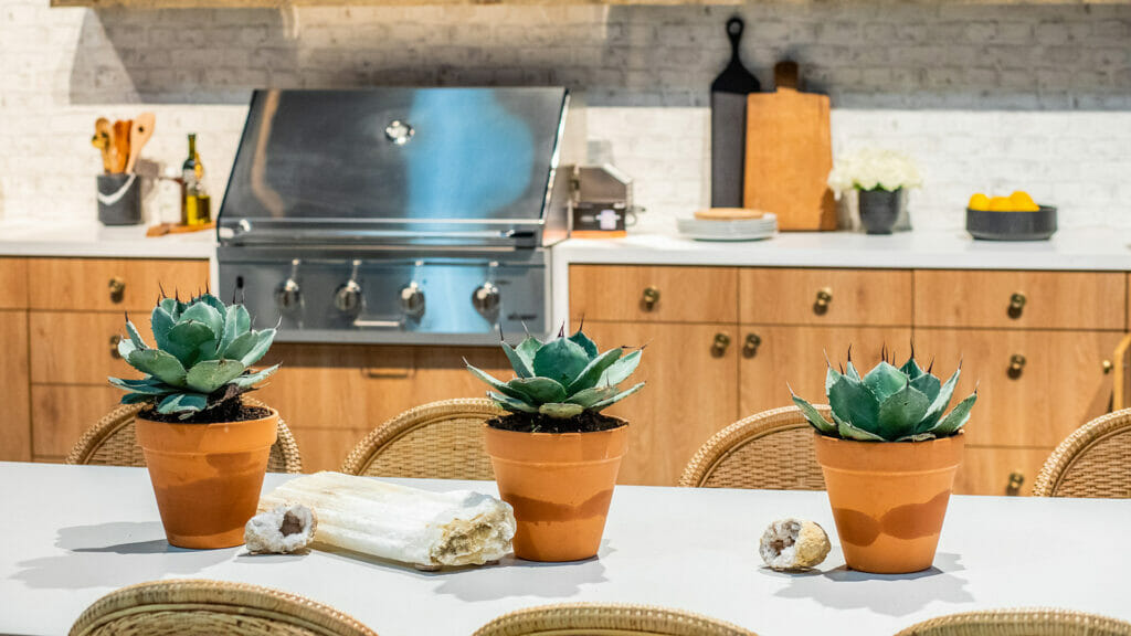 515 Palm Shade by Caesarstone available at Aqua Kitchen