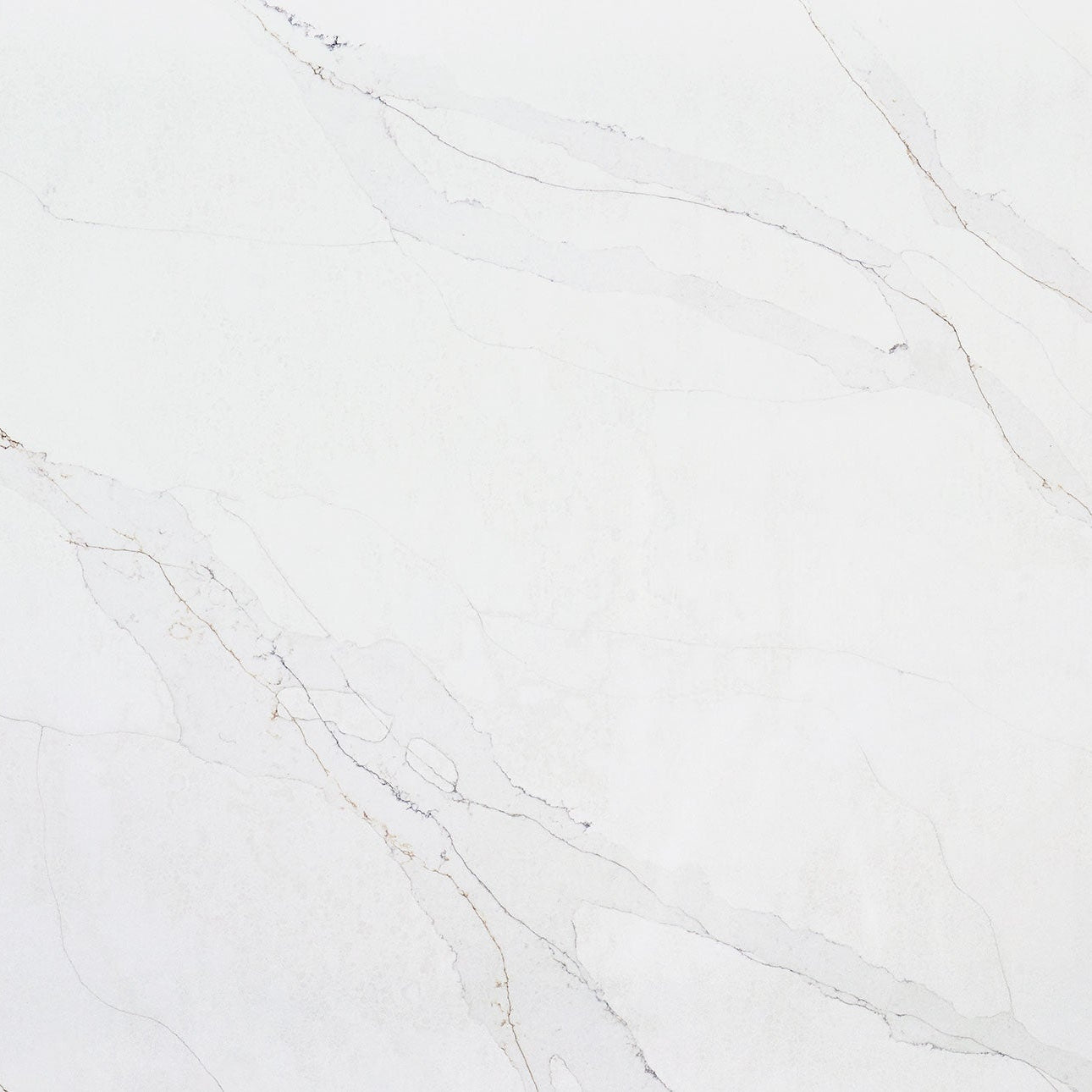 Calacatta Abezzo by MSI Surfaces available at Aqua Kitchen