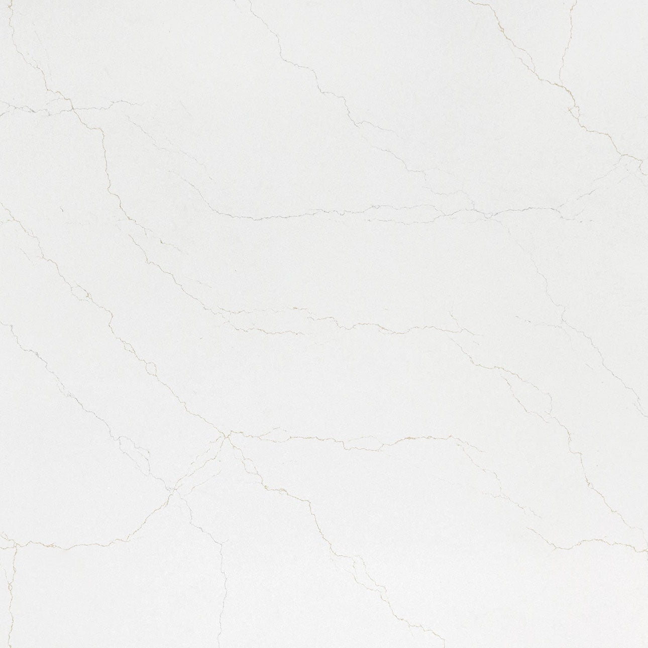 Calacatta Adonia by MSI Surfaces available at Aqua Kitchen