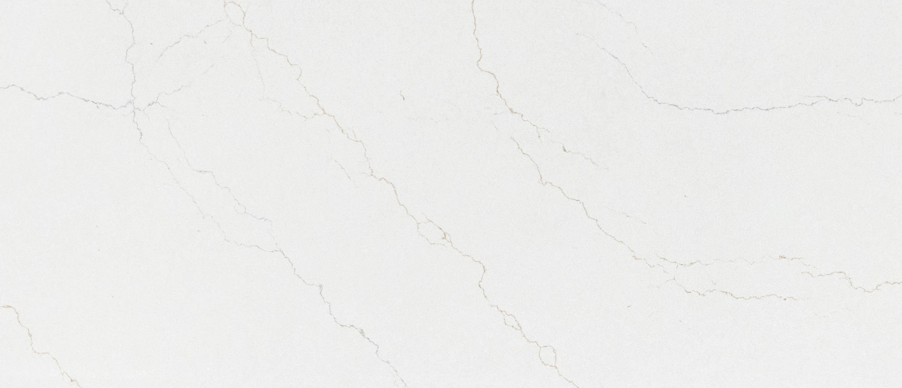 Calacatta Adonia by MSI Surfaces available at Aqua Kitchen