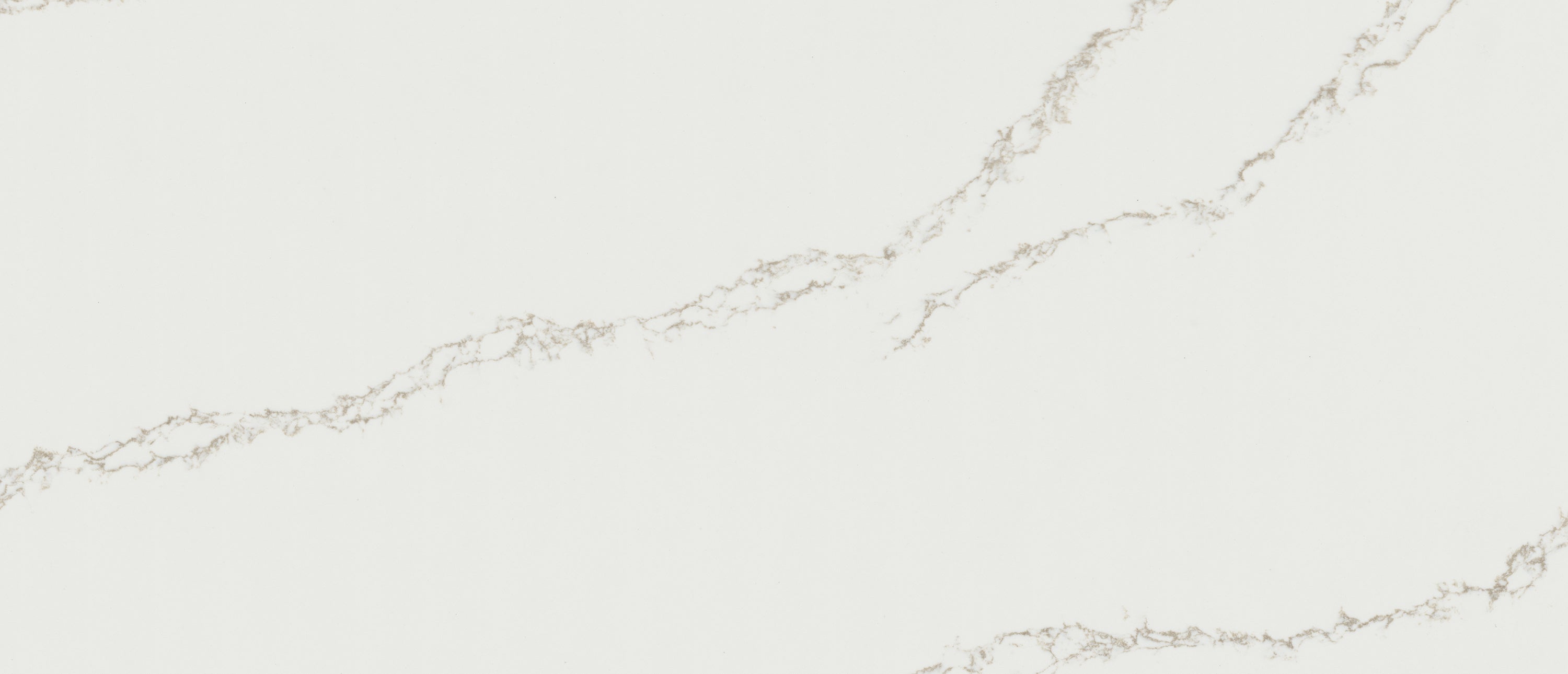 Calacatta Arno by MSI Surfaces available at Aqua Kitchen
