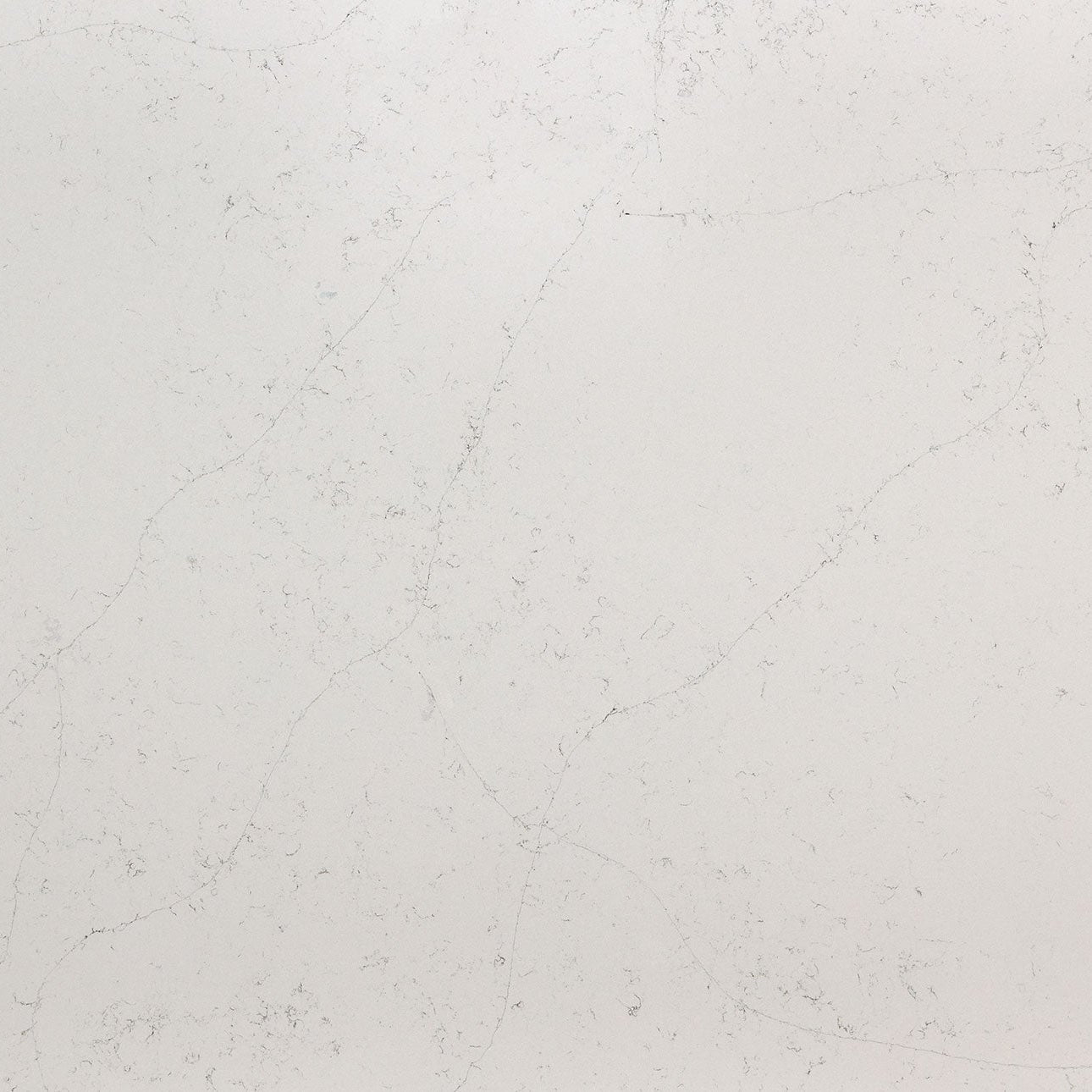 Calacatta Botanica by MSI Surfaces available at Aqua Kitchen