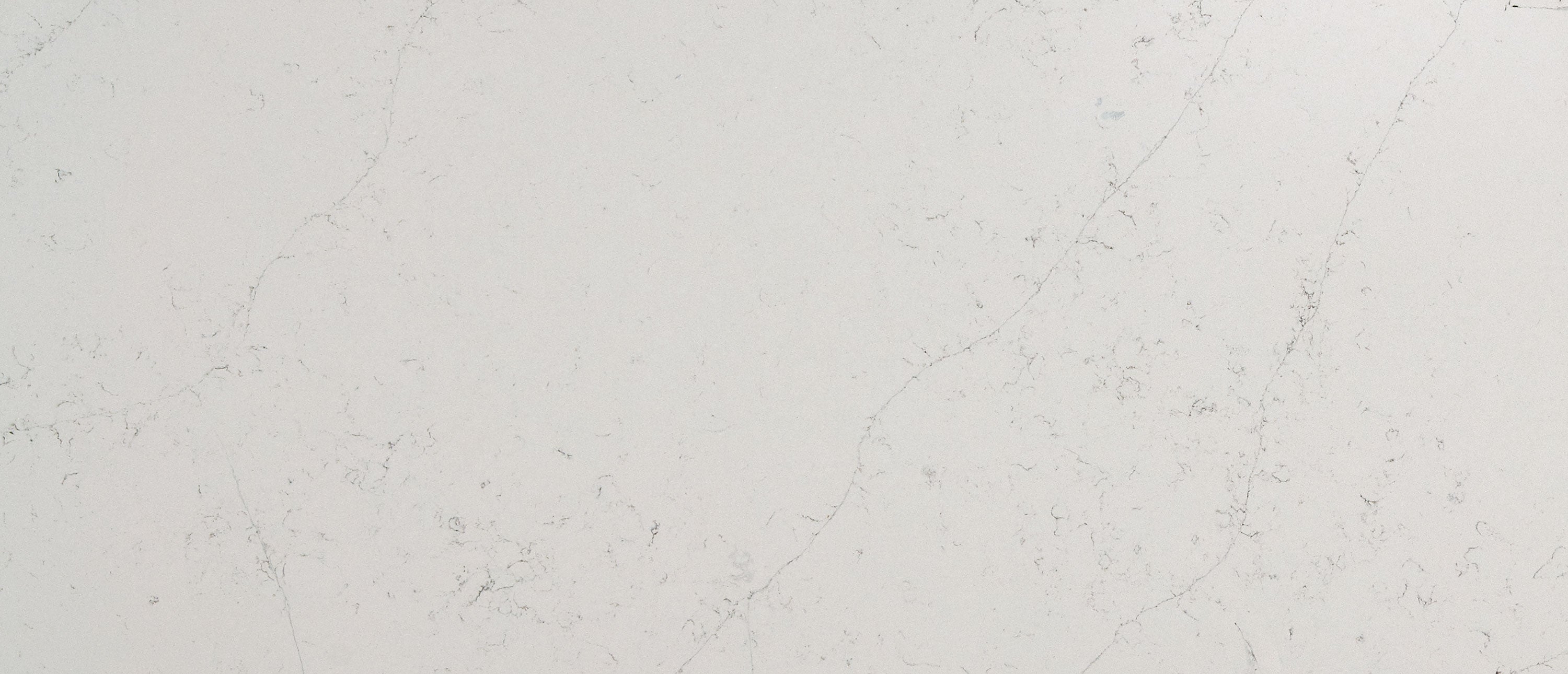 Calacatta Botanica by MSI Surfaces available at Aqua Kitchen