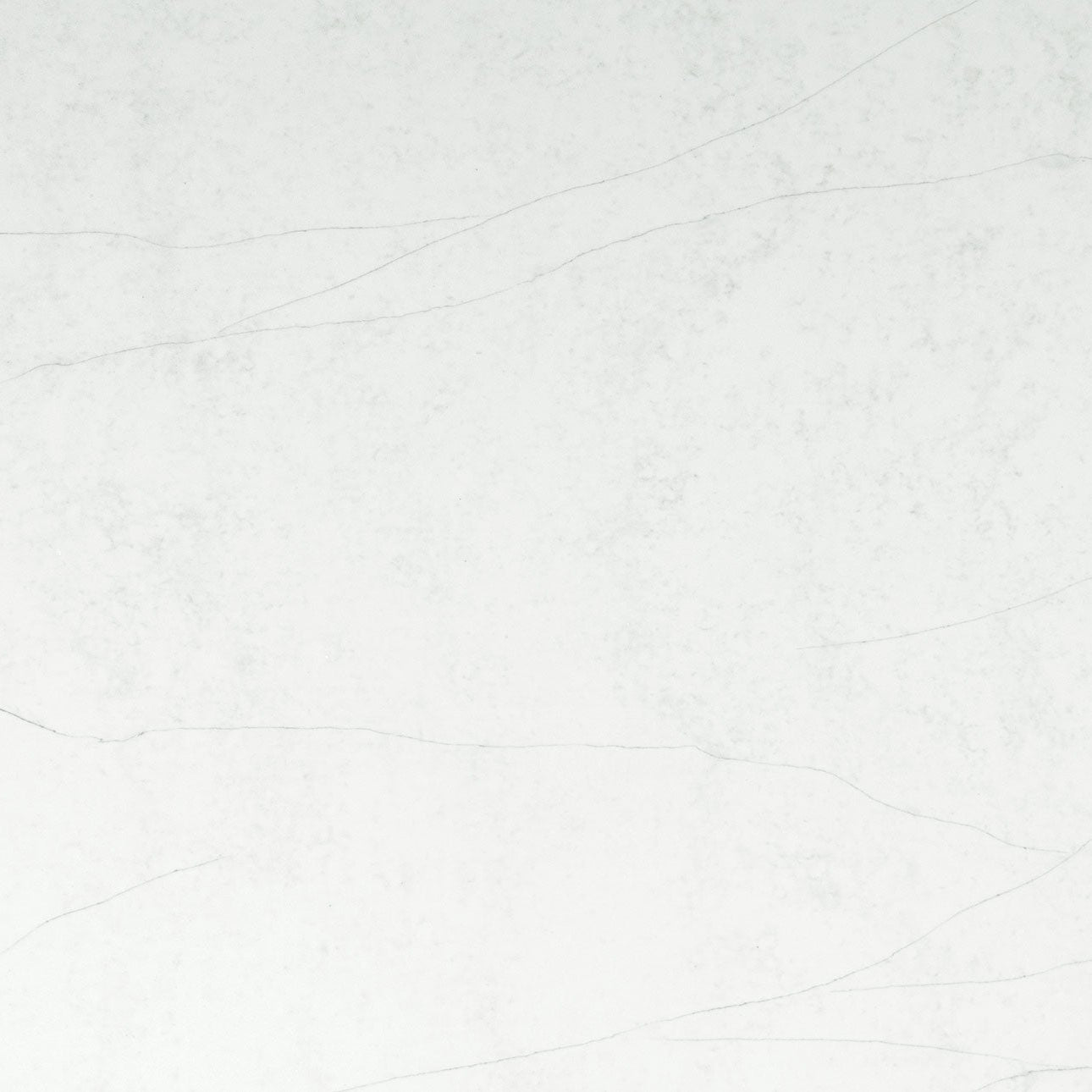 Calacatta Clara by MSI Surfaces available at Aqua Kitchen
