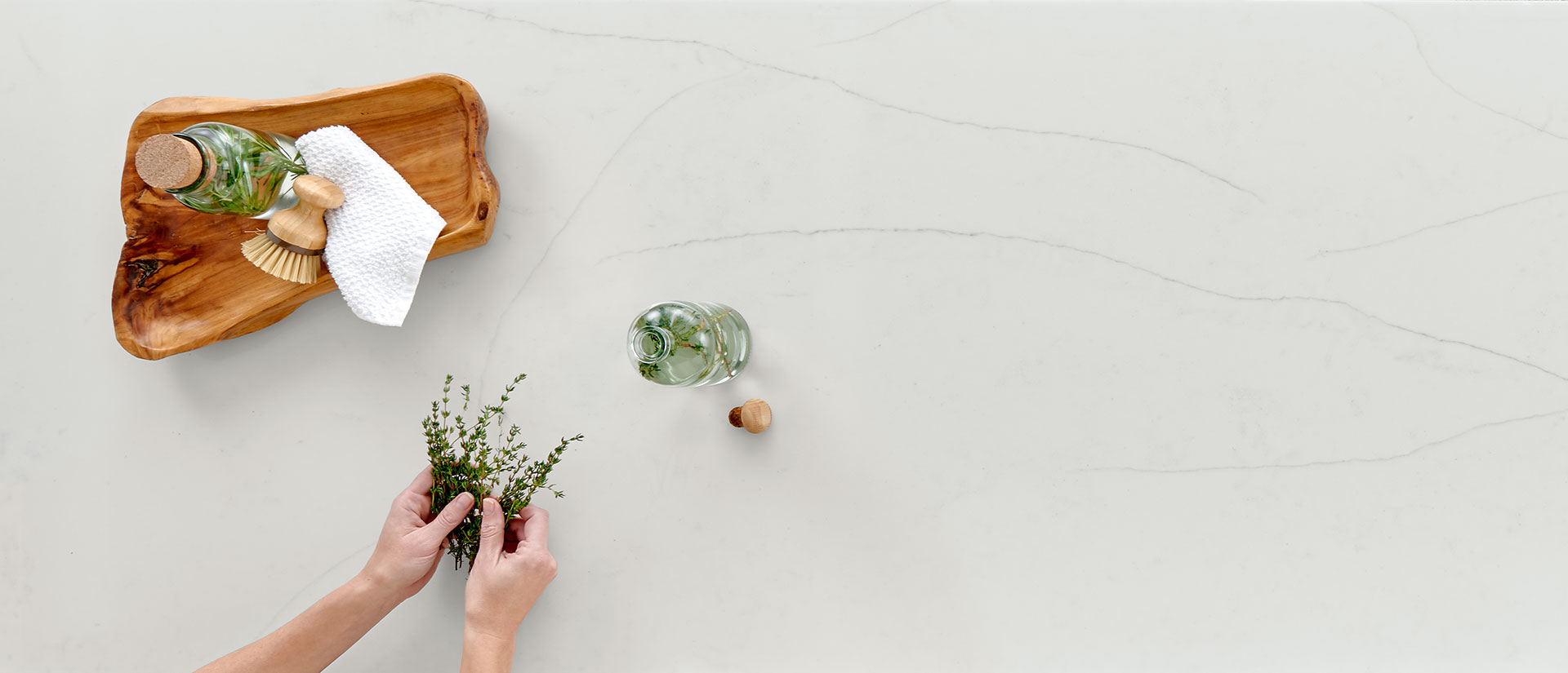 Calacatta Clara by MSI Surfaces available at Aqua Kitchen