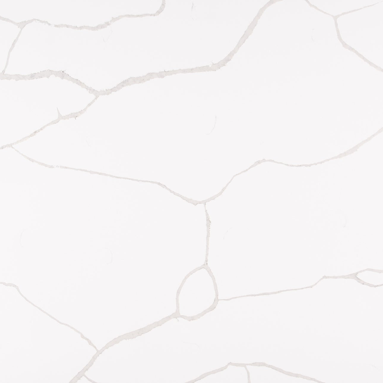 Calacatta Classique by MSI Surfaces available at Aqua Kitchen