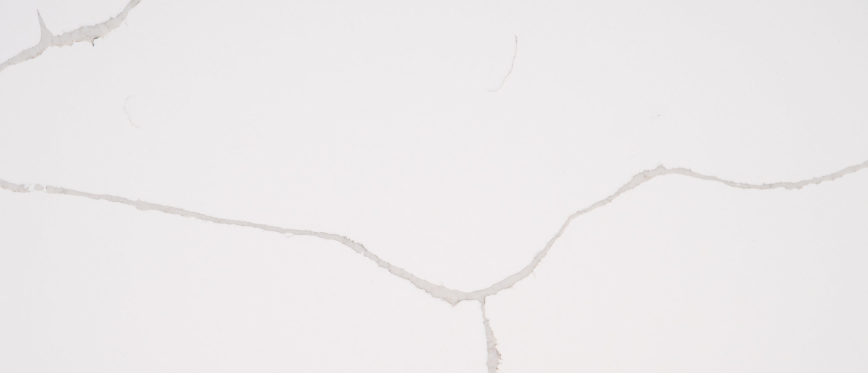 Calacatta Classique by MSI Surfaces available at Aqua Kitchen