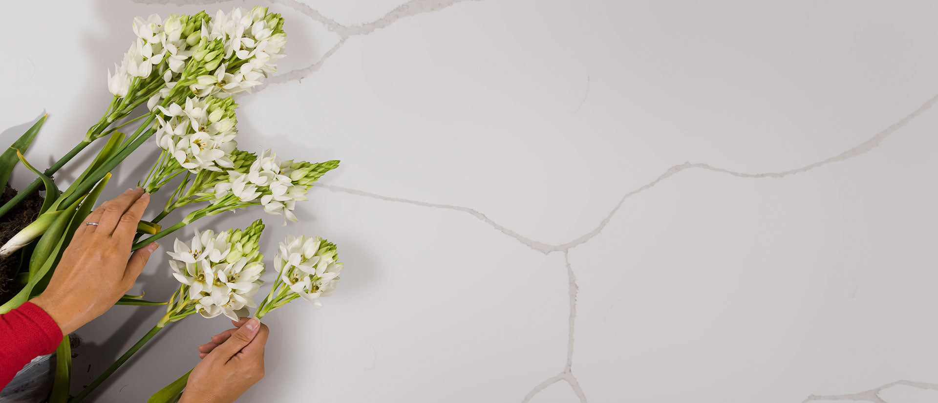 Calacatta Classique by MSI Surfaces available at Aqua Kitchen
