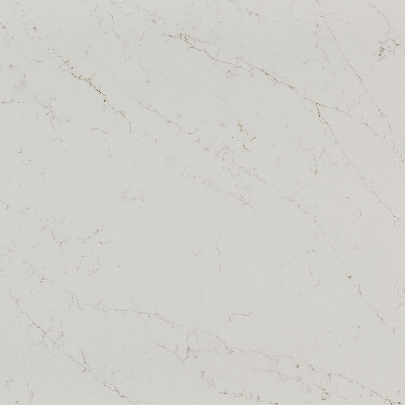 Calacatta Delios by MSI Surfaces available at Aqua Kitchen