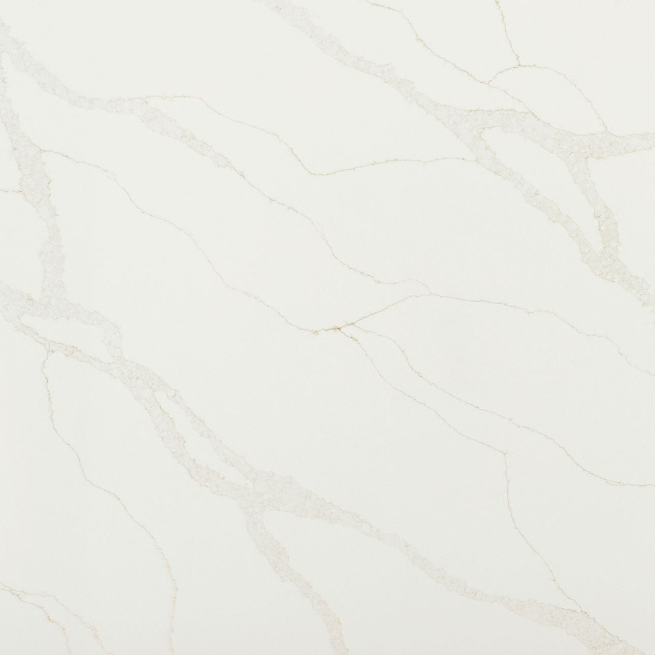 Calacatta Elysio by MSI Surfaces available at Aqua Kitchen