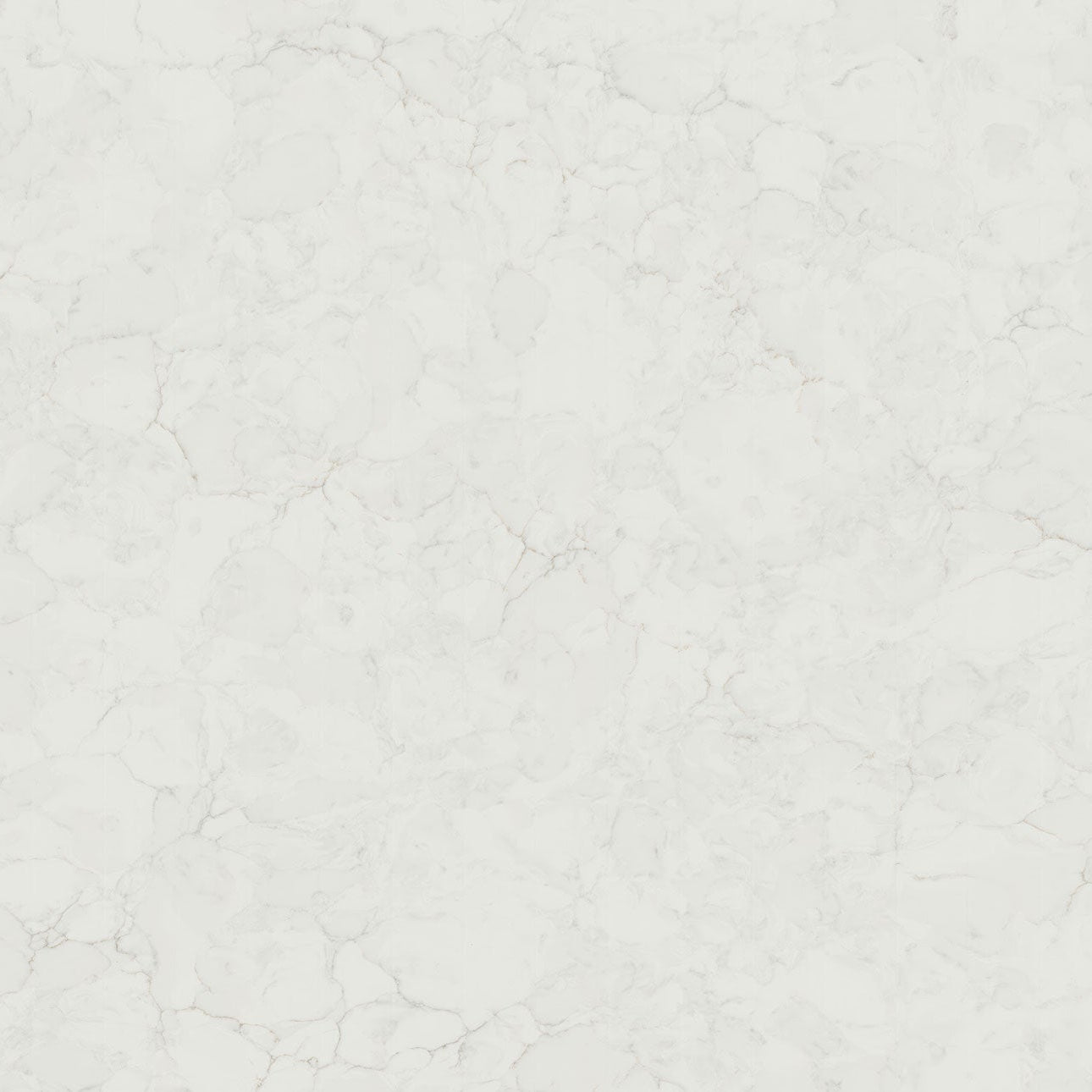 Calacatta Fioressa by MSI Surfaces available at Aqua Kitchen