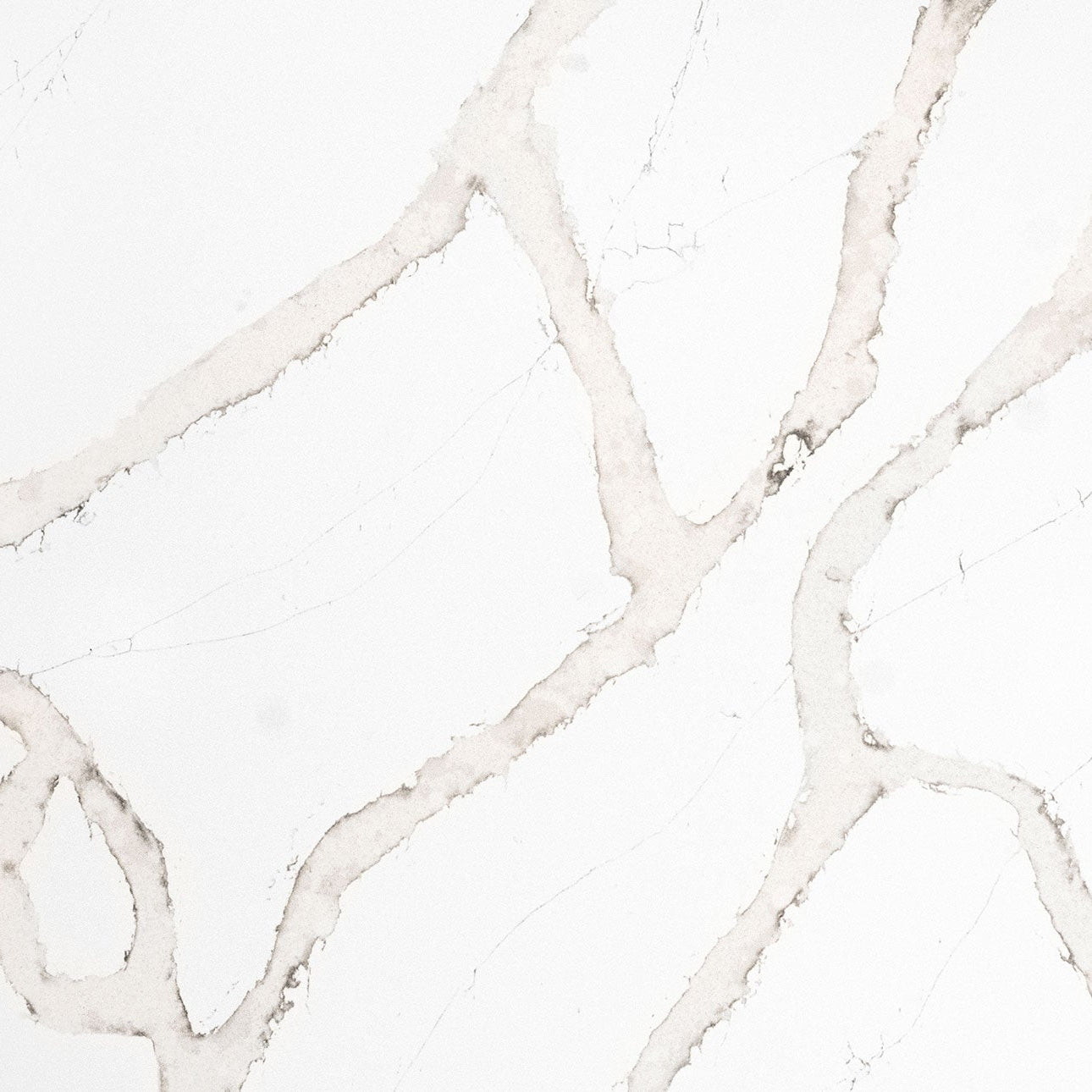 Calacatta Goa by MSI Surfaces available at Aqua Kitchen