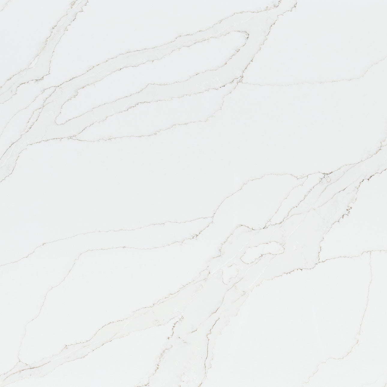 Calacatta Izaro by MSI Surfaces available at Aqua Kitchen