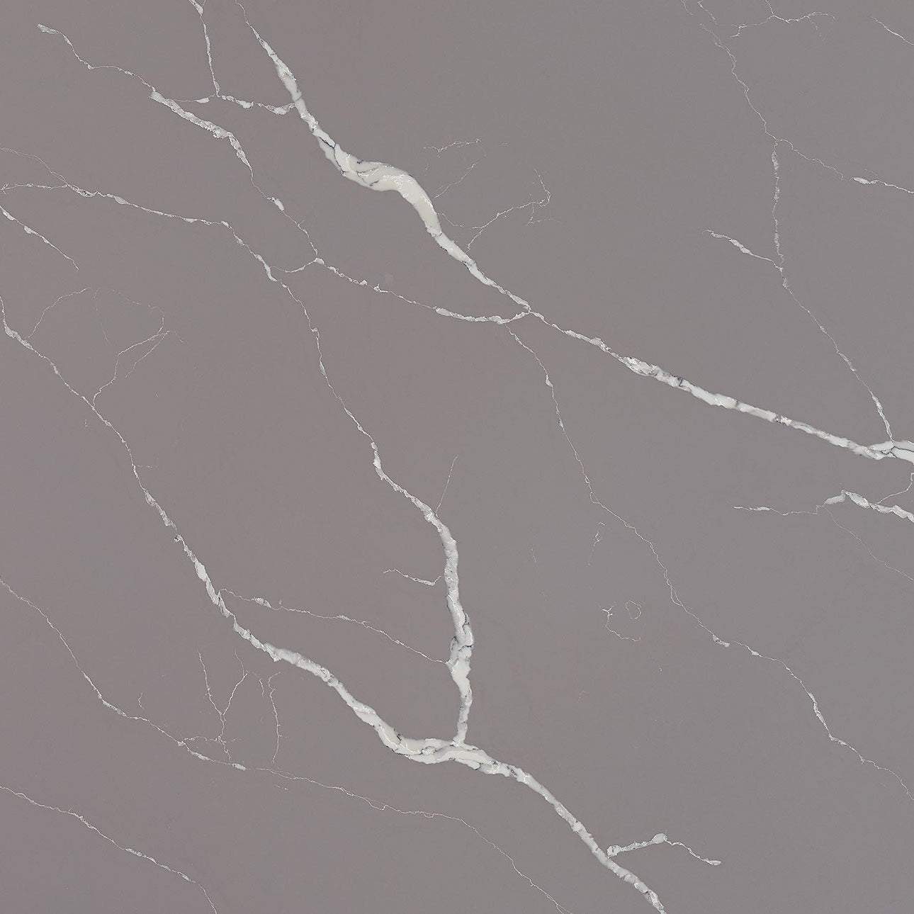 Calacatta Laza Grigio by MSI Surfaces available at Aqua Kitchen