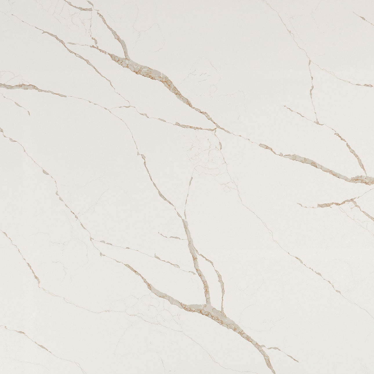 Calacatta Laza Oro by MSI Surfaces available at Aqua Kitchen