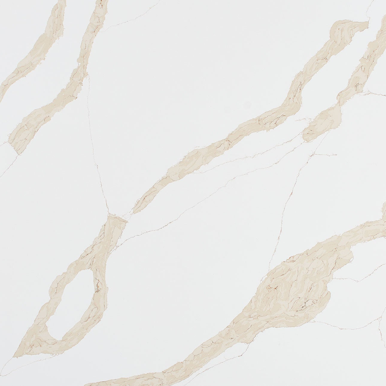 Calacatta Leon Gold by MSI Surfaces available at Aqua Kitchen