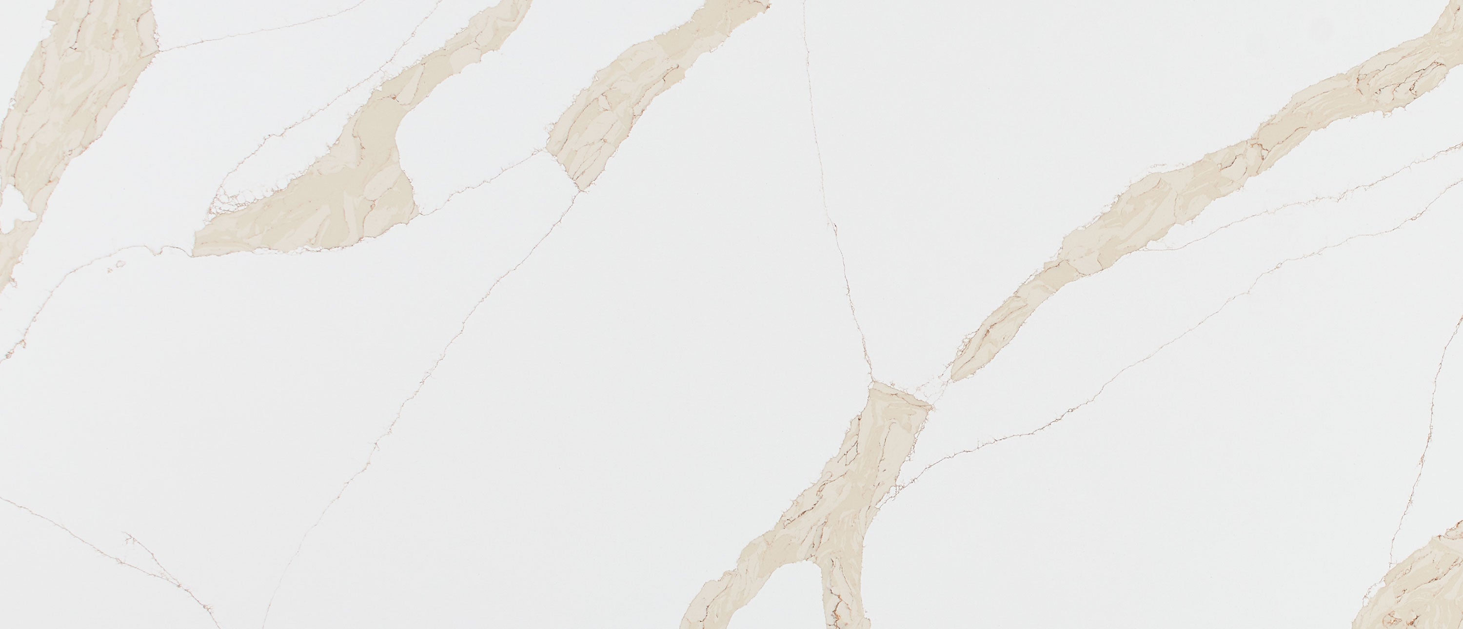 Calacatta Leon Gold by MSI Surfaces available at Aqua Kitchen