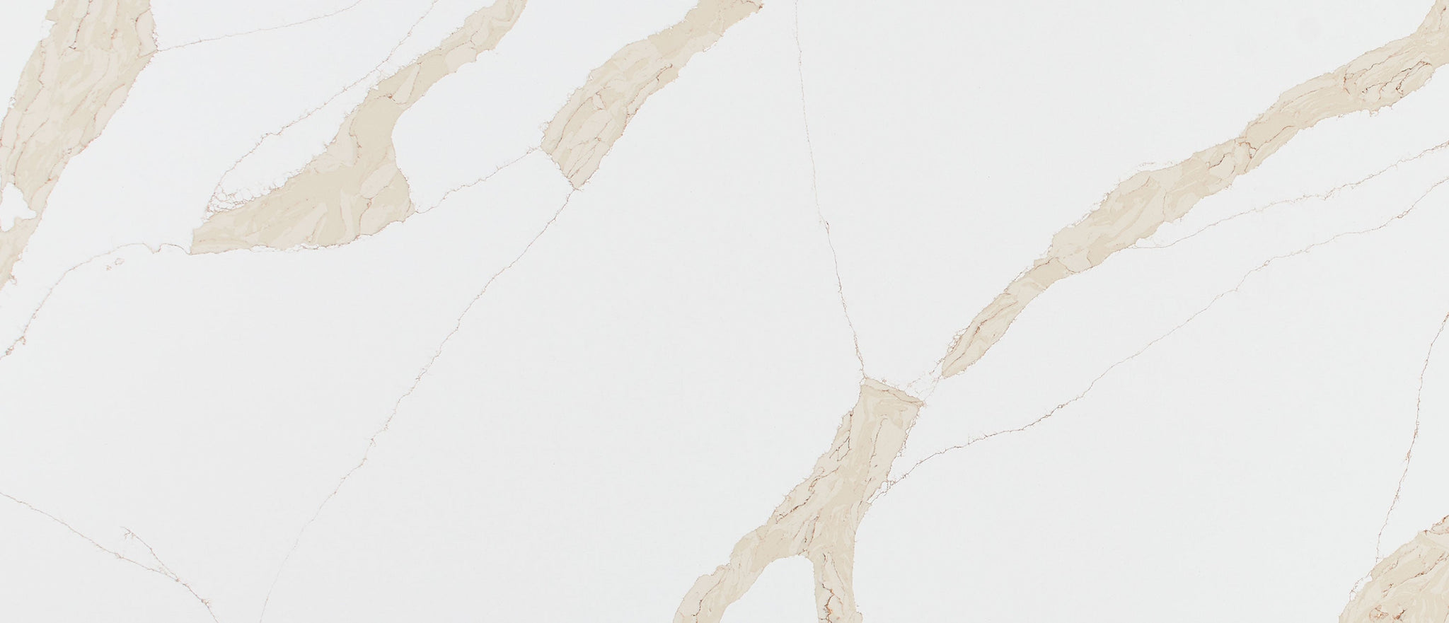 Calacatta Leon Gold