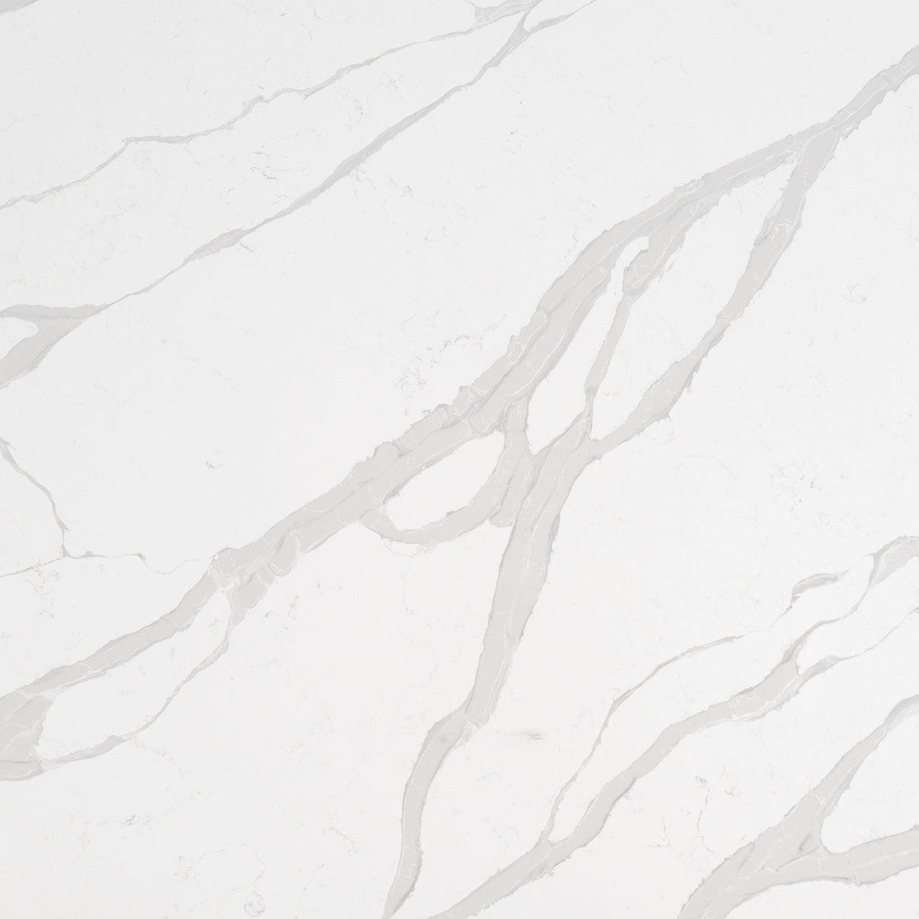Calacatta Luccia by MSI Surfaces available at Aqua Kitchen