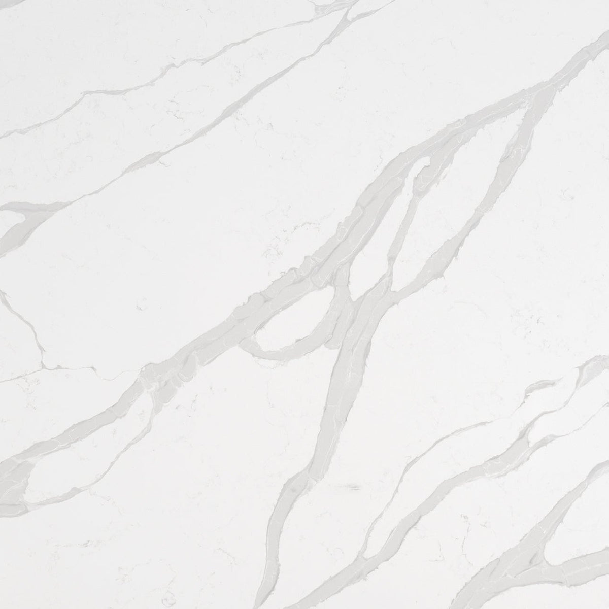Calacatta Luccia by MSI Surfaces available at Aqua Kitchen
