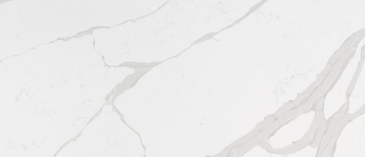Calacatta Luccia by MSI Surfaces available at Aqua Kitchen
