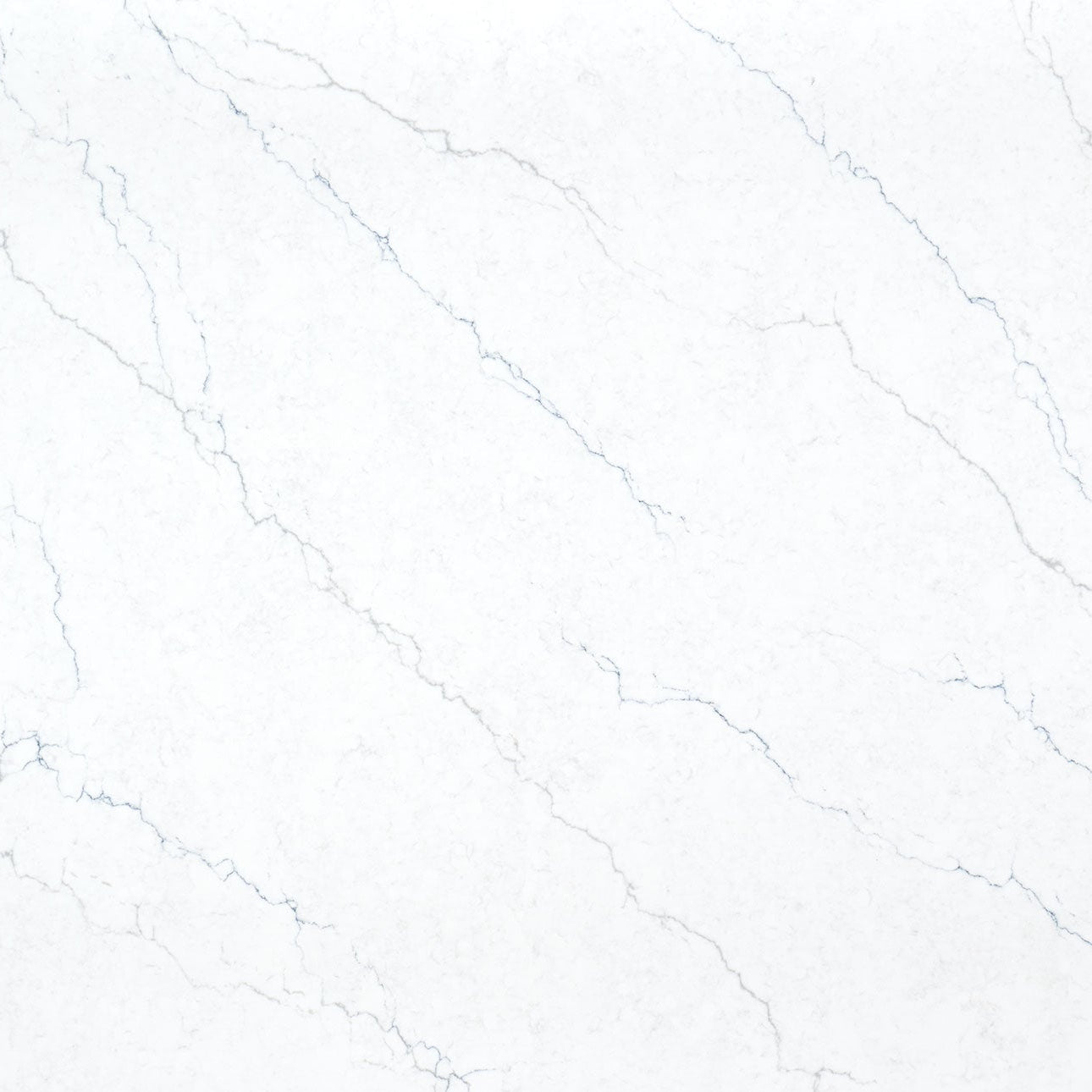 Calacatta Miraggio Cielo by MSI Surfaces available at Aqua Kitchen