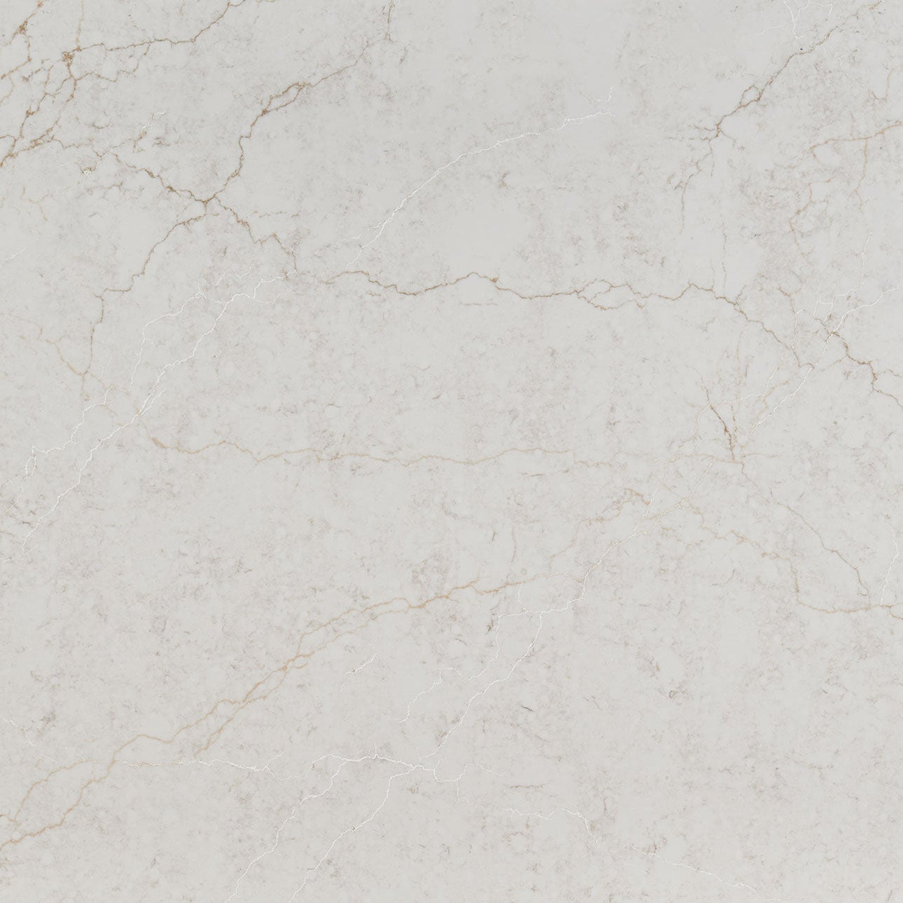 Calacatta Miraggio Cove by MSI Surfaces available at Aqua Kitchen