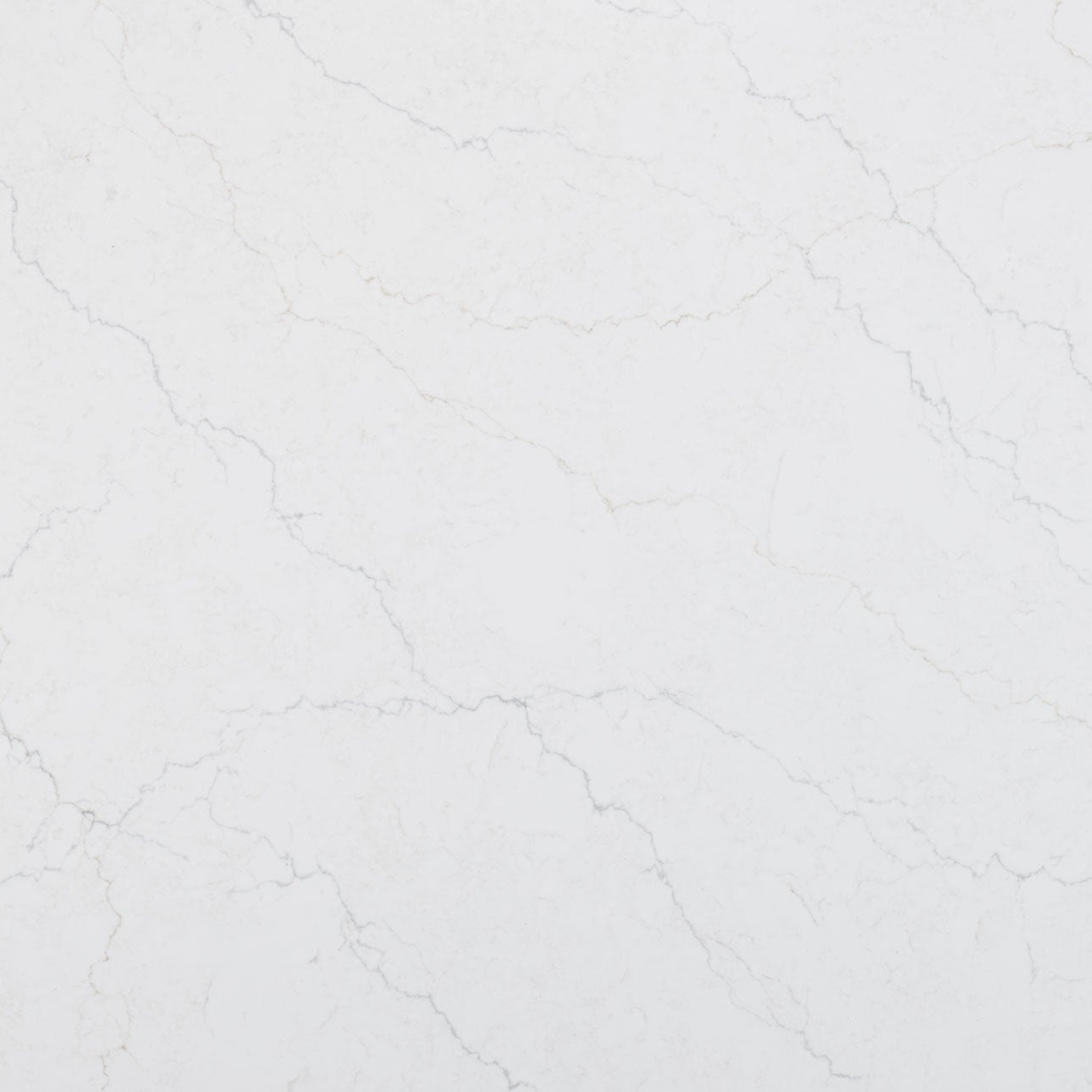 Calacatta Miraggio Duo by MSI Surfaces available at Aqua Kitchen