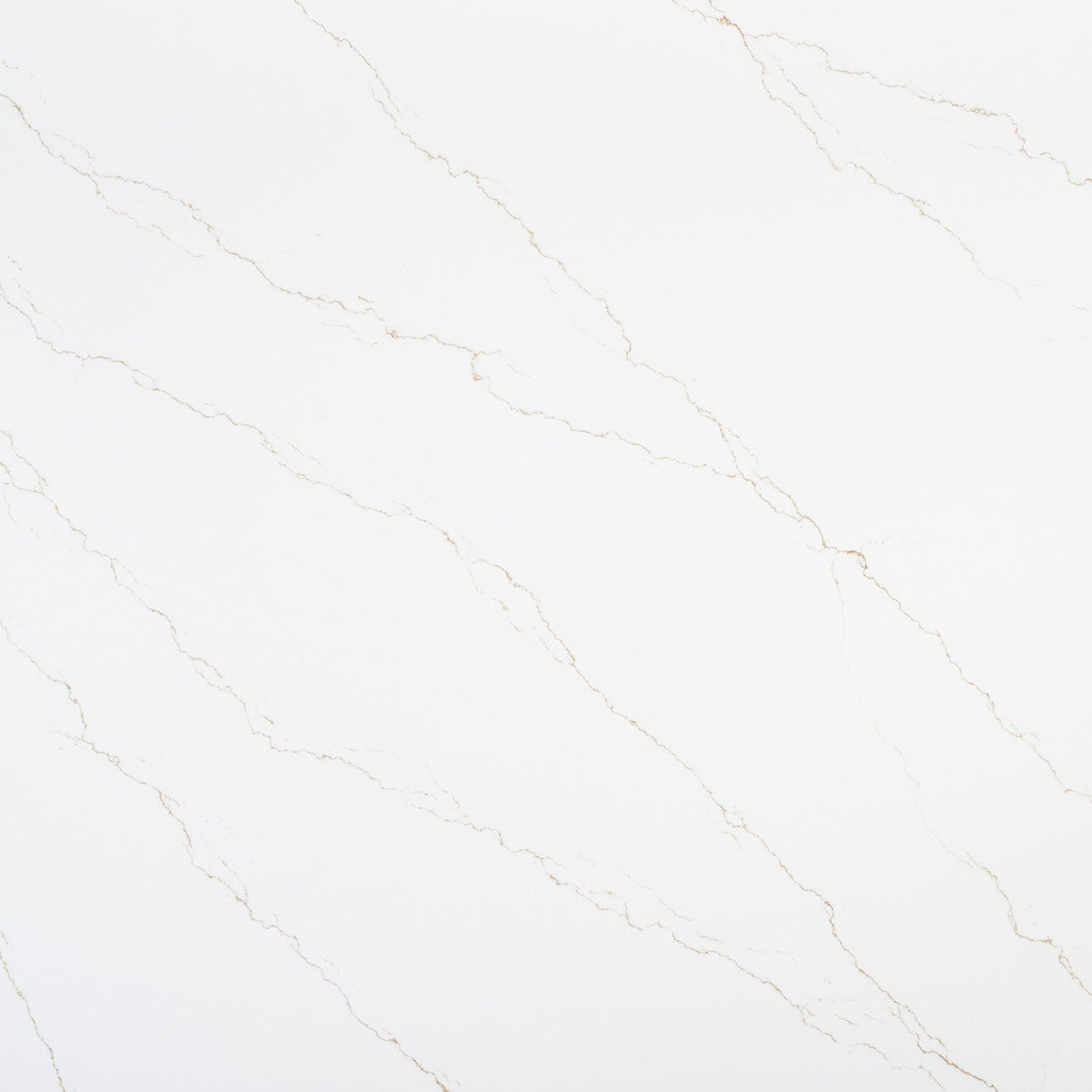 Calacatta Miraggio Gold by MSI Surfaces available at Aqua Kitchen