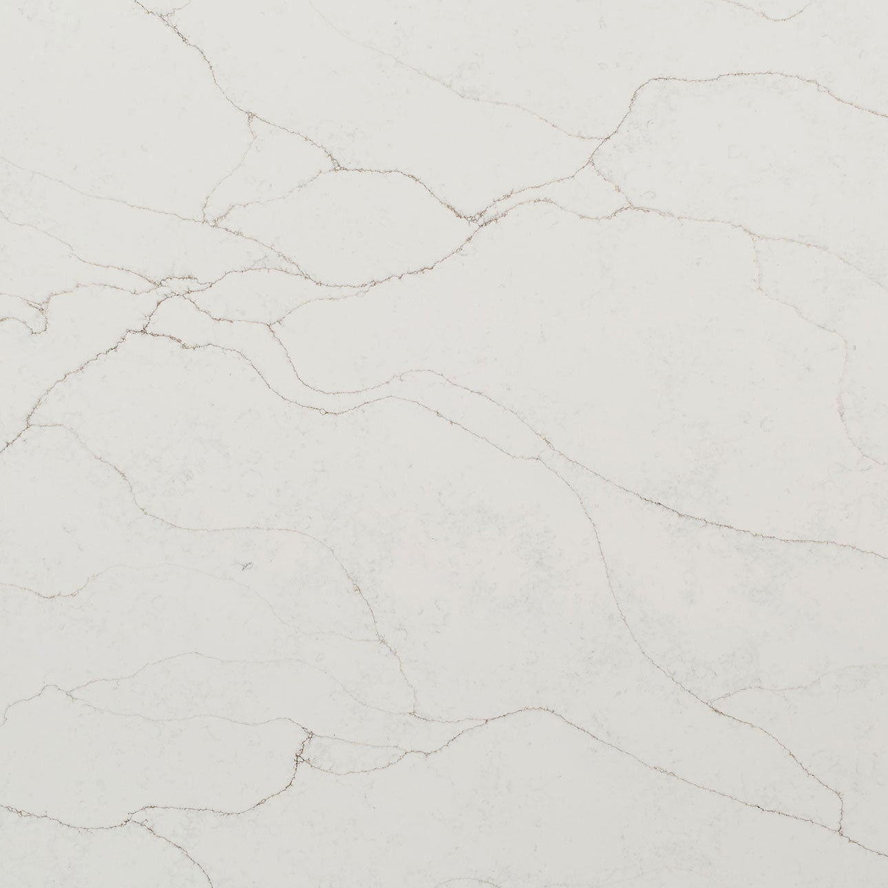 Calacatta Prado by MSI Surfaces available at Aqua Kitchen