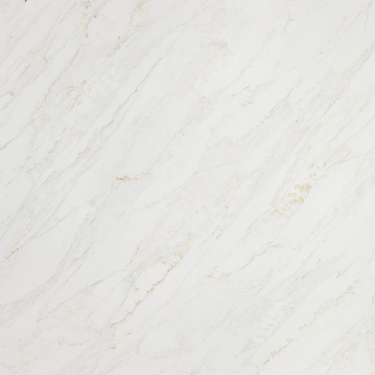Calacatta Premata by MSI Surfaces available at Aqua Kitchen