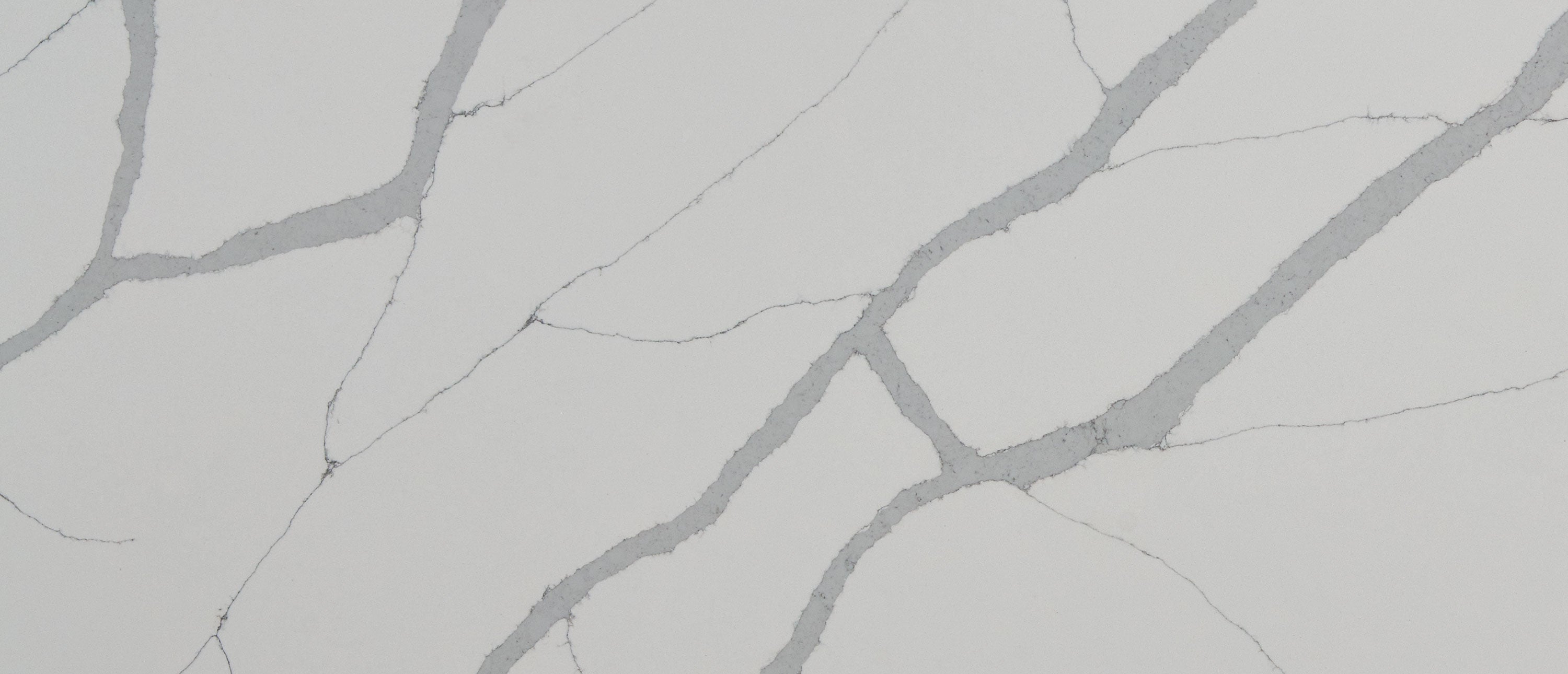 Calacatta Sierra by MSI Surfaces available at Aqua Kitchen