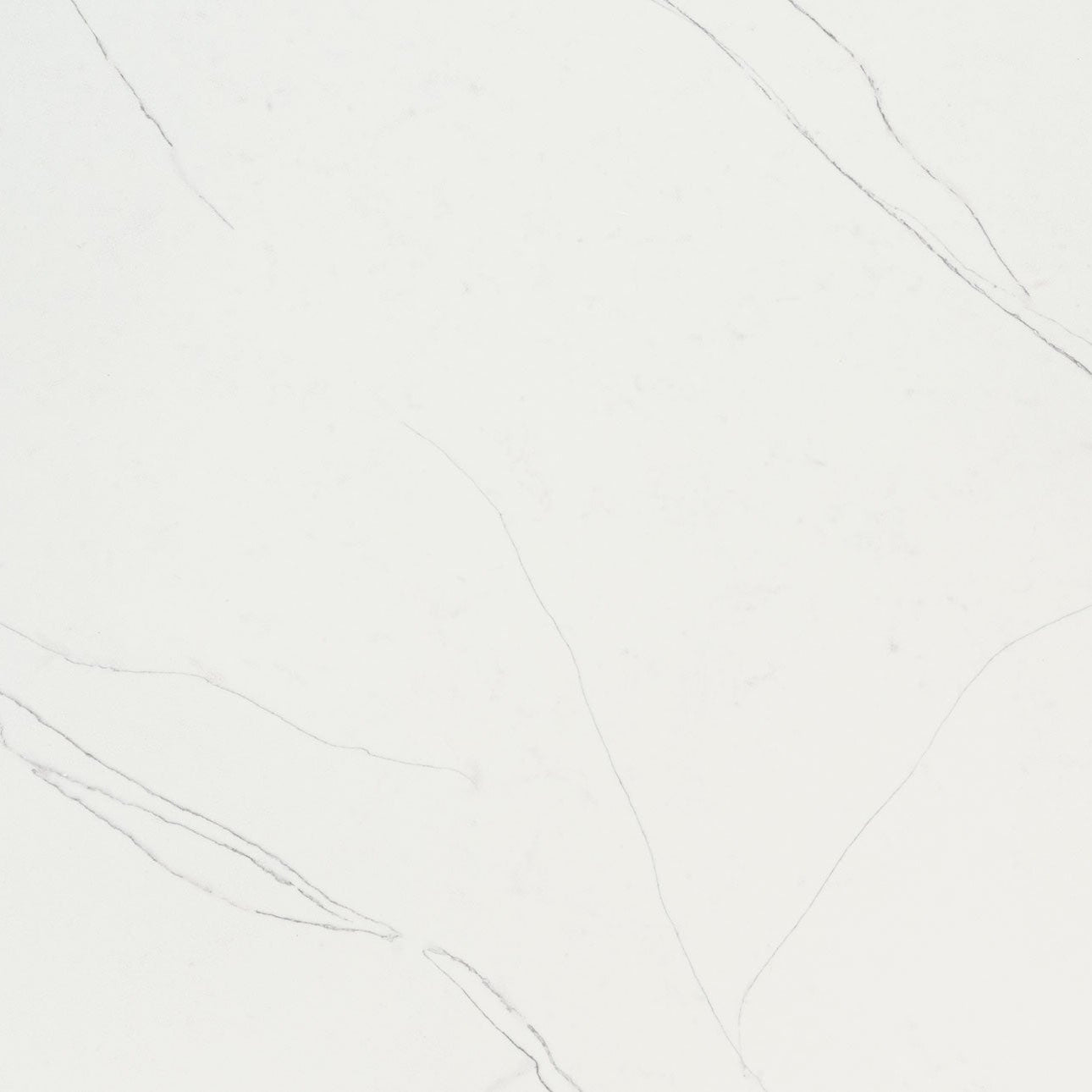 Calacatta Trevi by MSI Surfaces available at Aqua Kitchen
