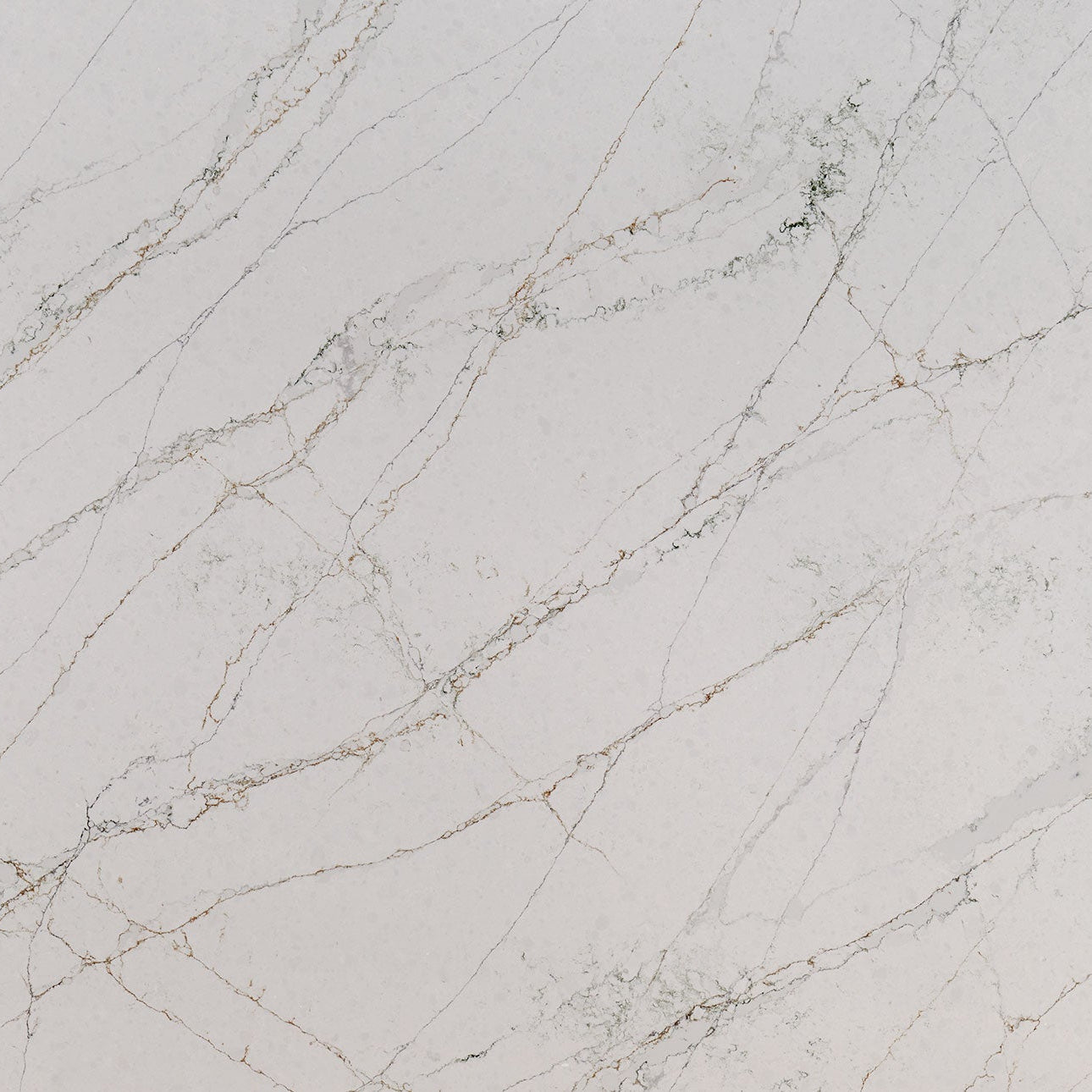 Calacatta Viraldi by MSI Surfaces available at Aqua Kitchen