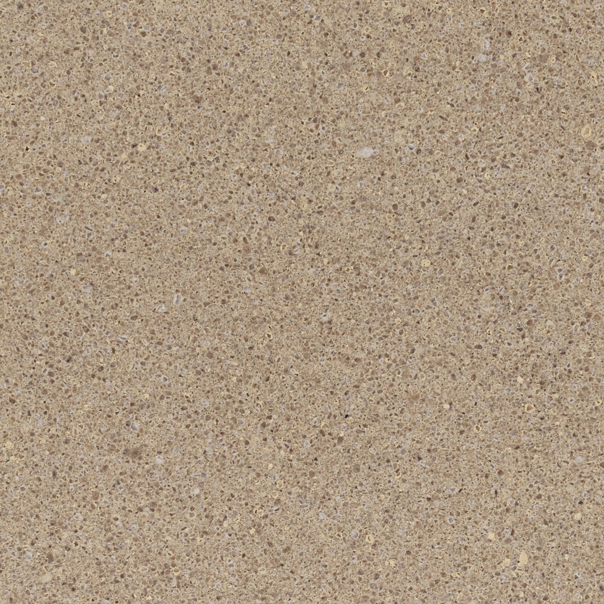 Hyde Park™ Quartz Sample by Cambria