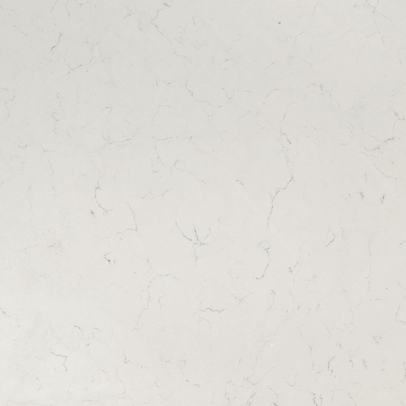 Carrara Delphi by MSI Surfaces available at Aqua Kitchen