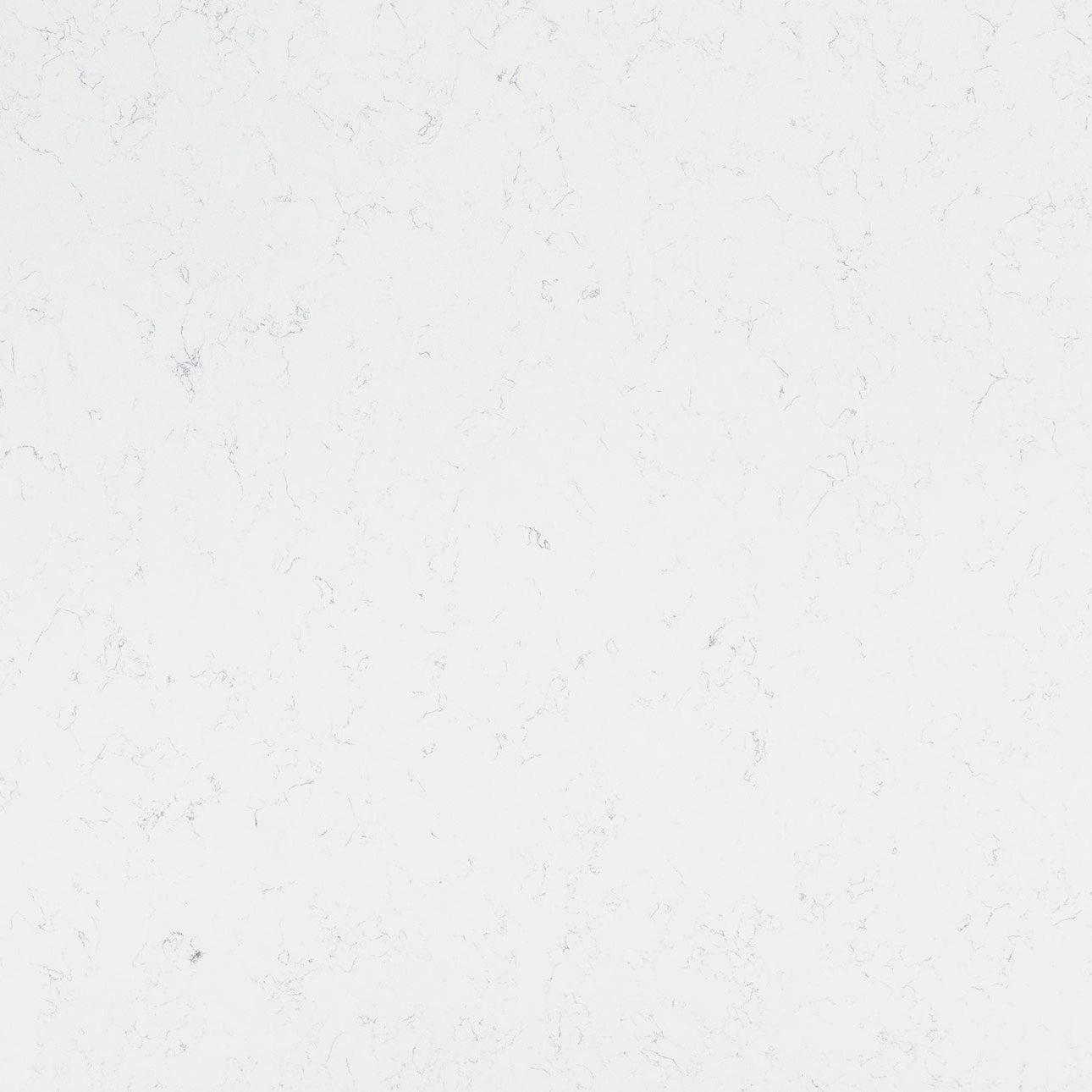 Carrara Morro by MSI Surfaces available at Aqua Kitchen
