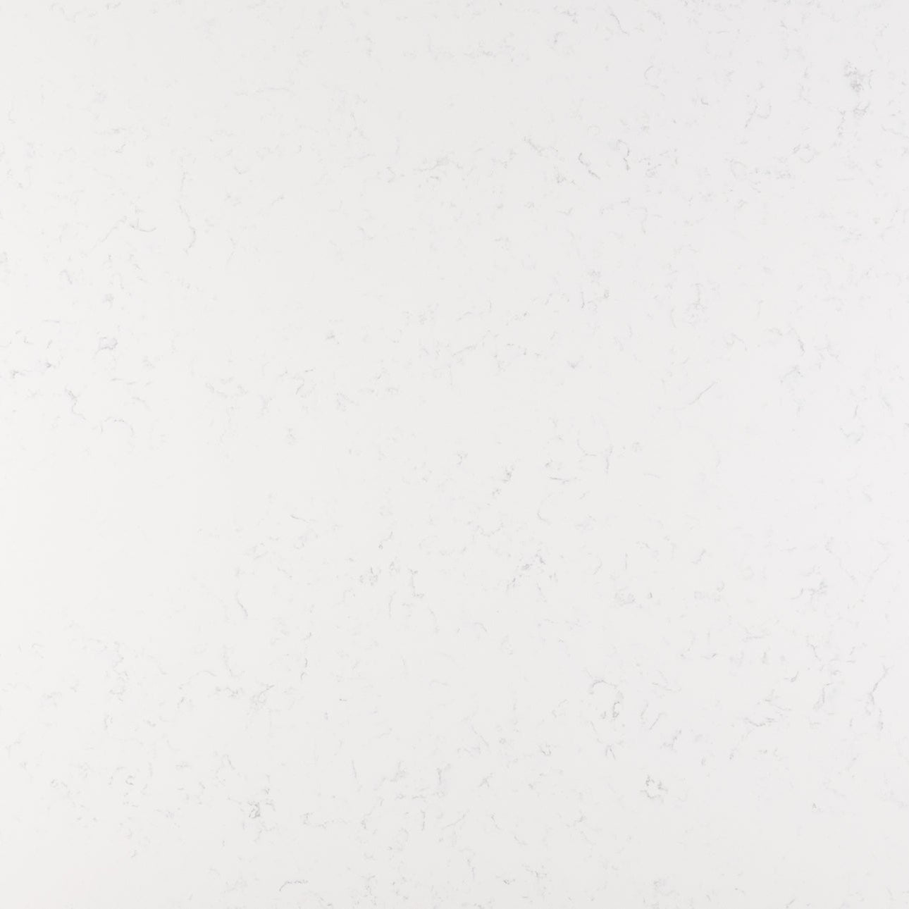 Cashmere Carrara by MSI Surfaces available at Aqua Kitchen