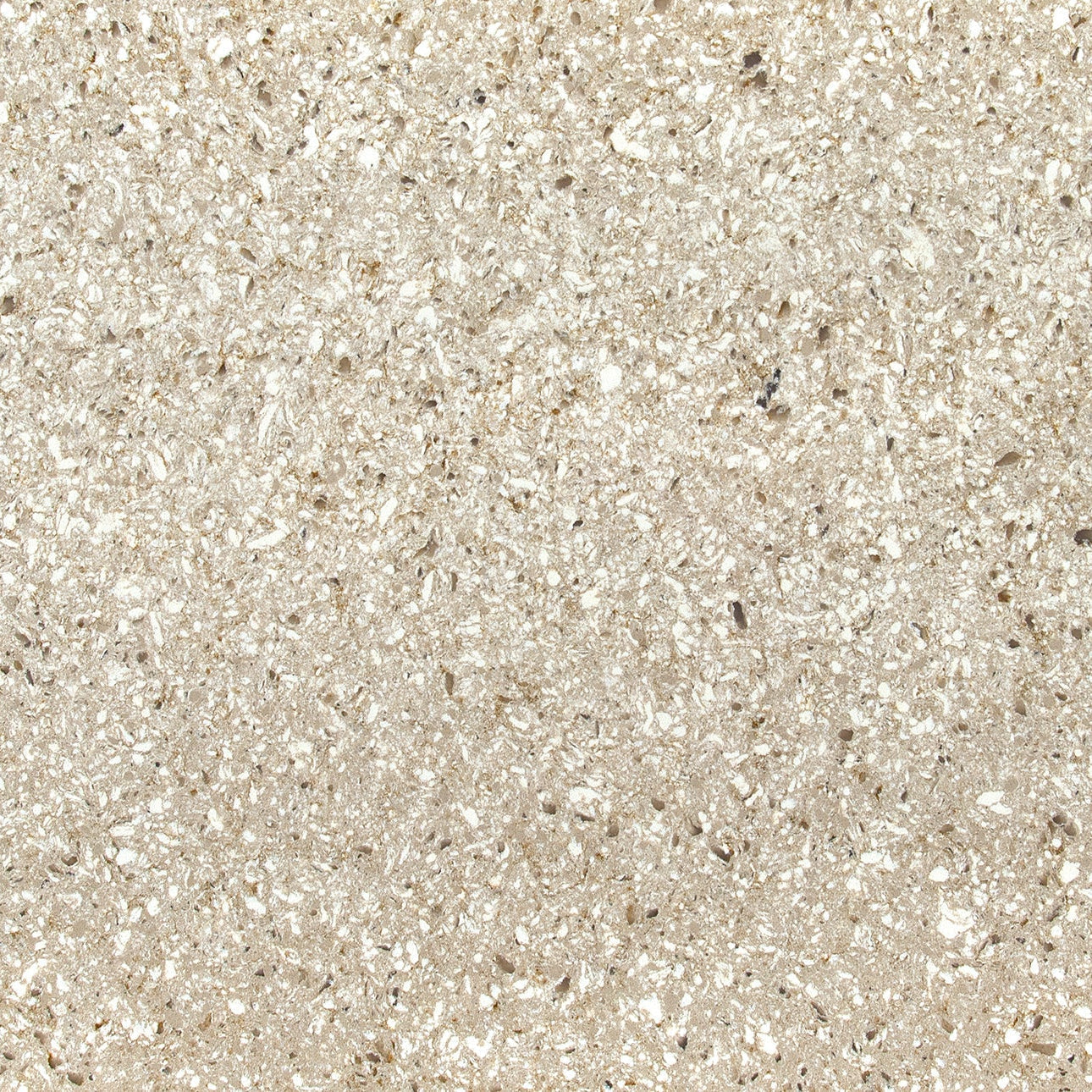 Chakra Beige by MSI Surfaces available at Aqua Kitchen