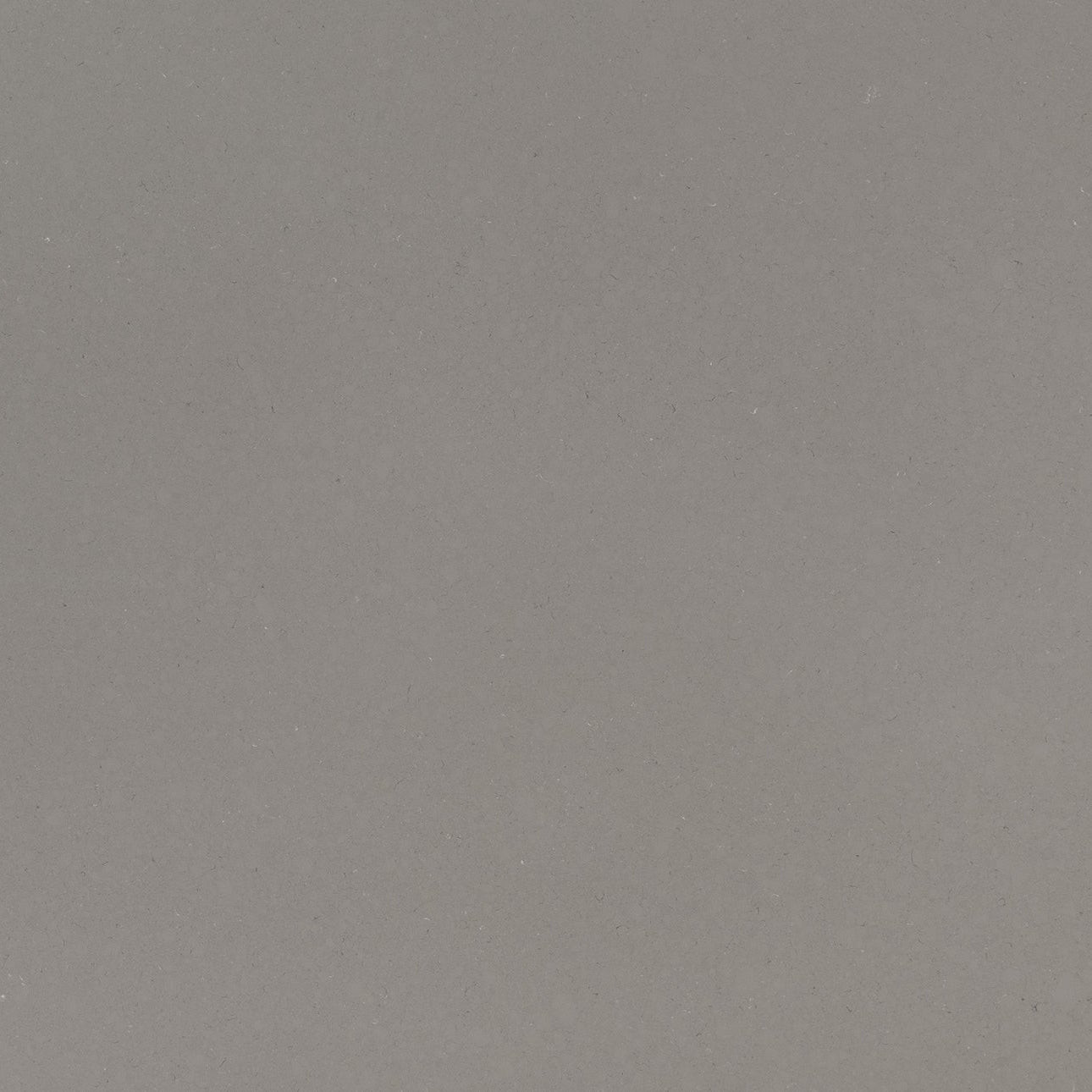 Fossil Gray by MSI Surfaces available at Aqua Kitchen