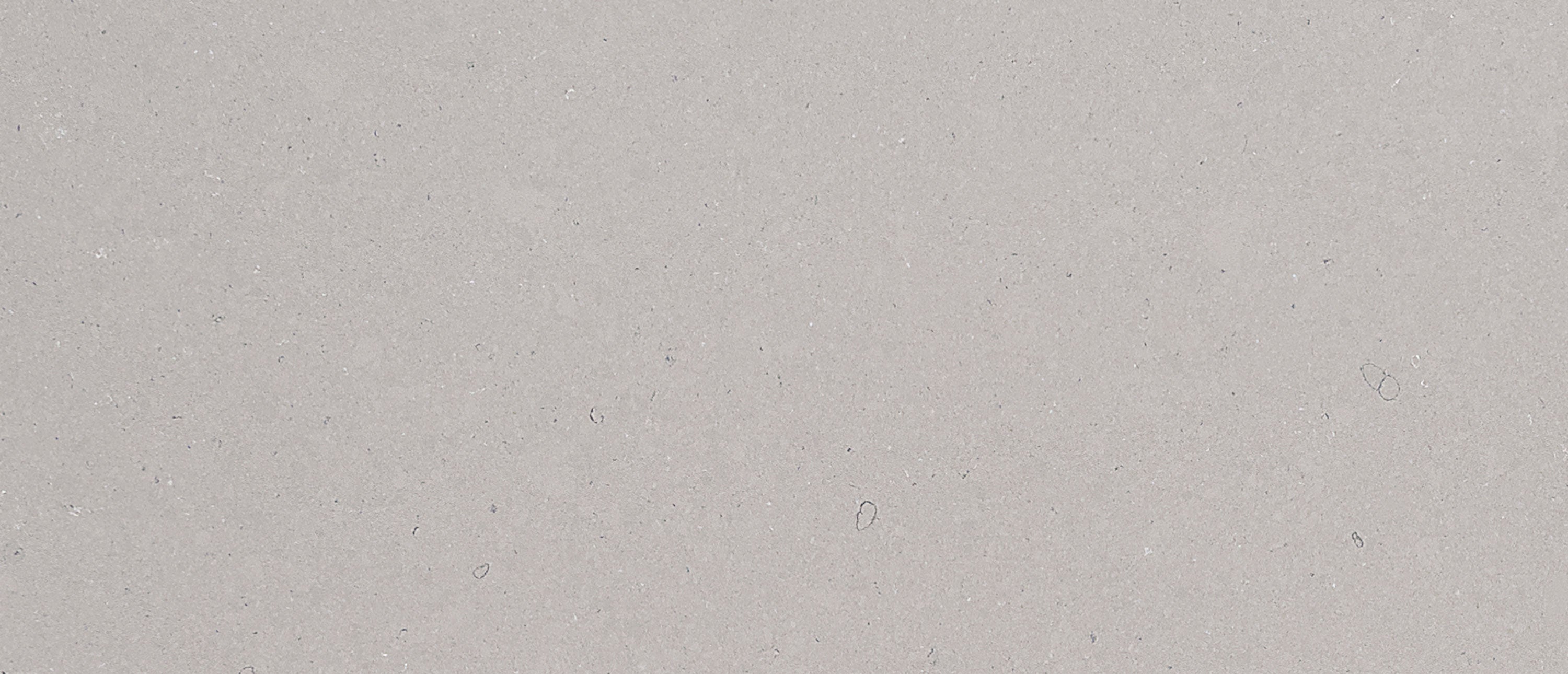 Fossil Gray - Matte Finish by MSI Surfaces available at Aqua Kitchen
