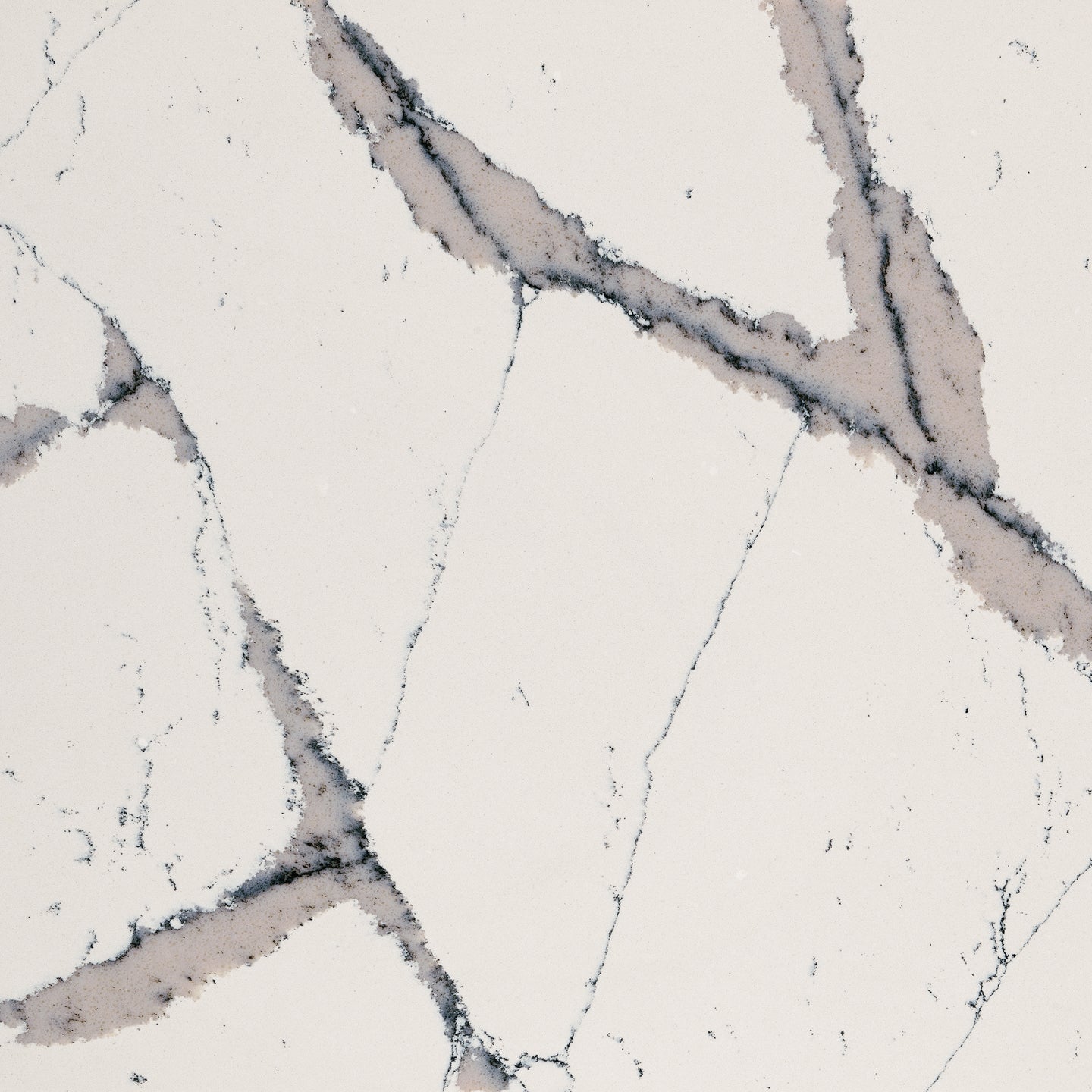 Harrogate™ Quartz Sample by Cambria available at Aqua Kitchen