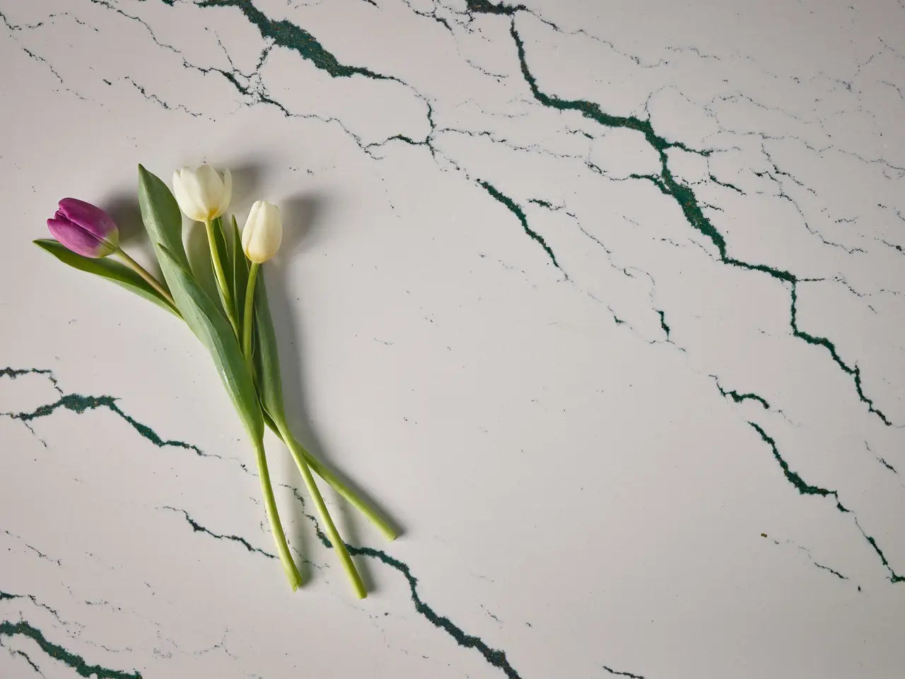 Ivybridge™ Quartz Sample by Cambria available at Aqua Kitchen