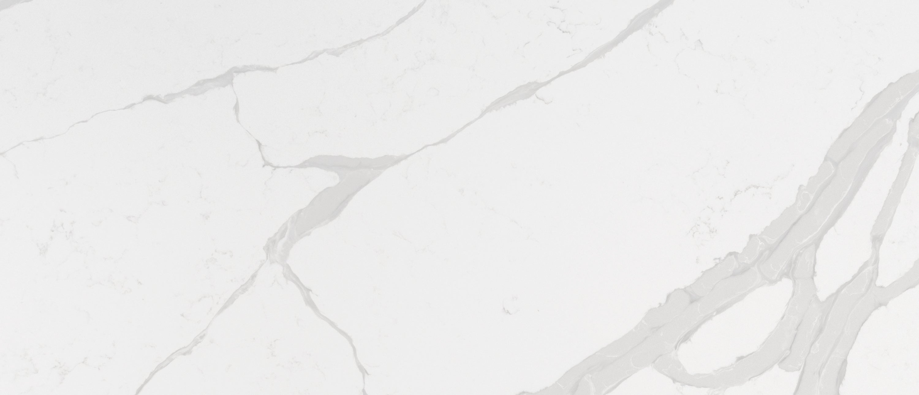 Calacatta Luccia by MSI Surfaces available at Aqua Kitchen