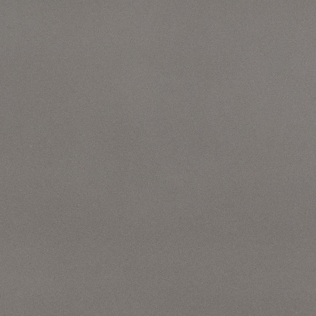 Macabo Gray by MSI Surfaces available at Aqua Kitchen