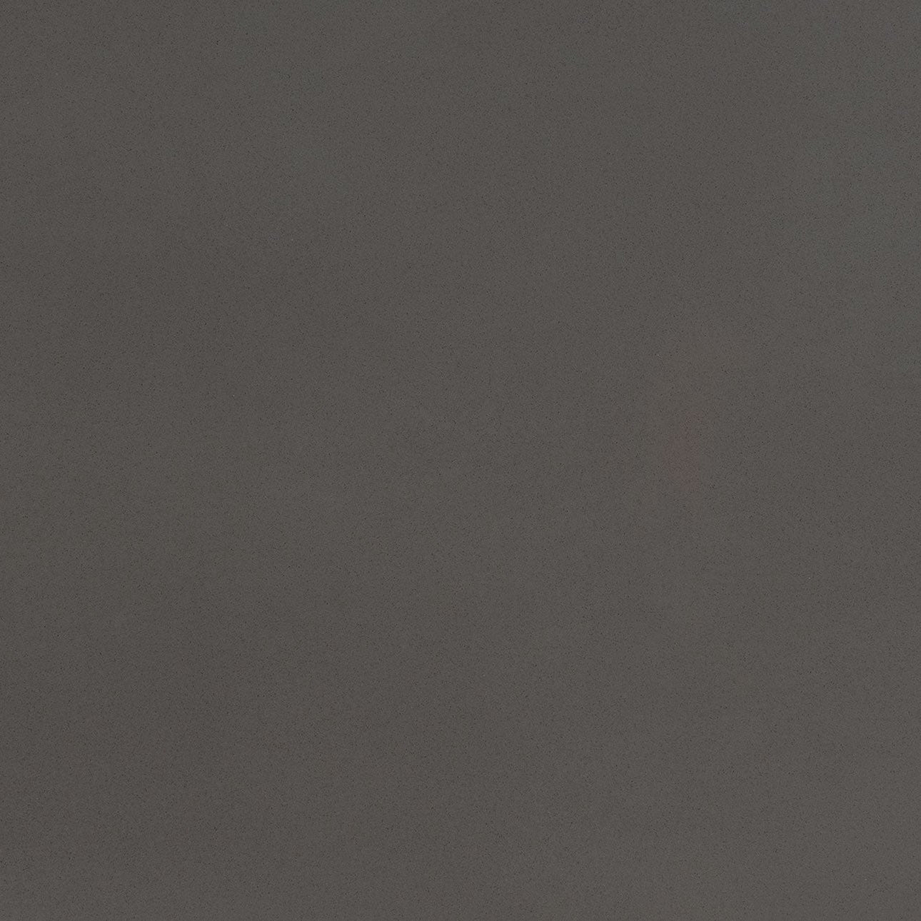 Manhattan Gray by MSI Surfaces available at Aqua Kitchen
