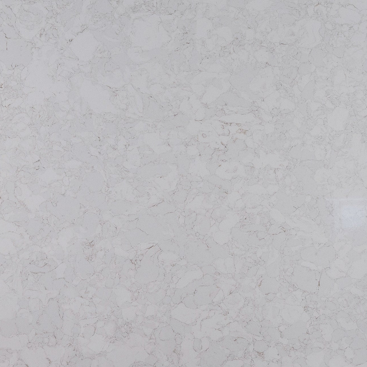Marbella White by MSI Surfaces available at Aqua Kitchen