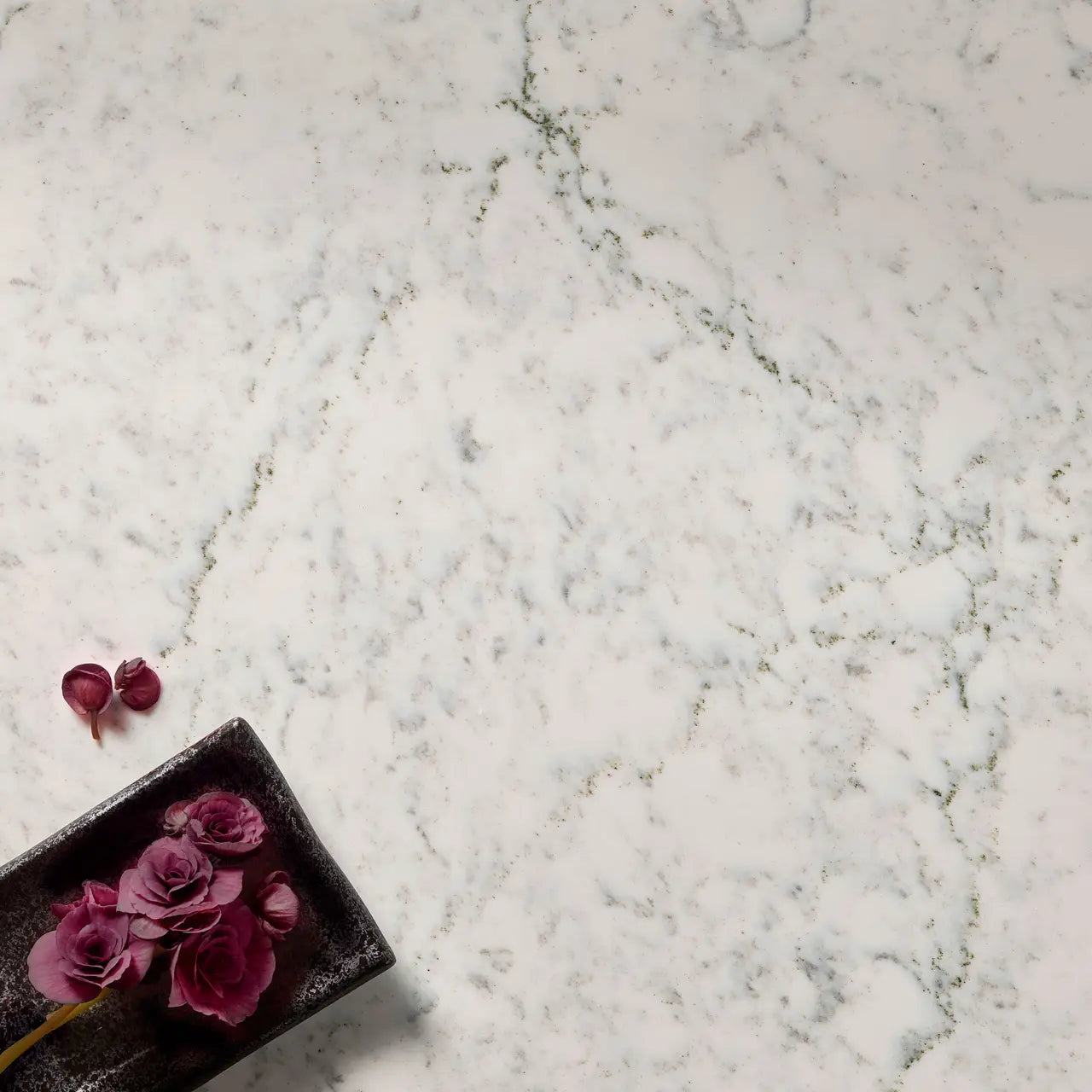 NEW - Avalene™ Quartz Sample by Cambria available at Aqua Kitchen