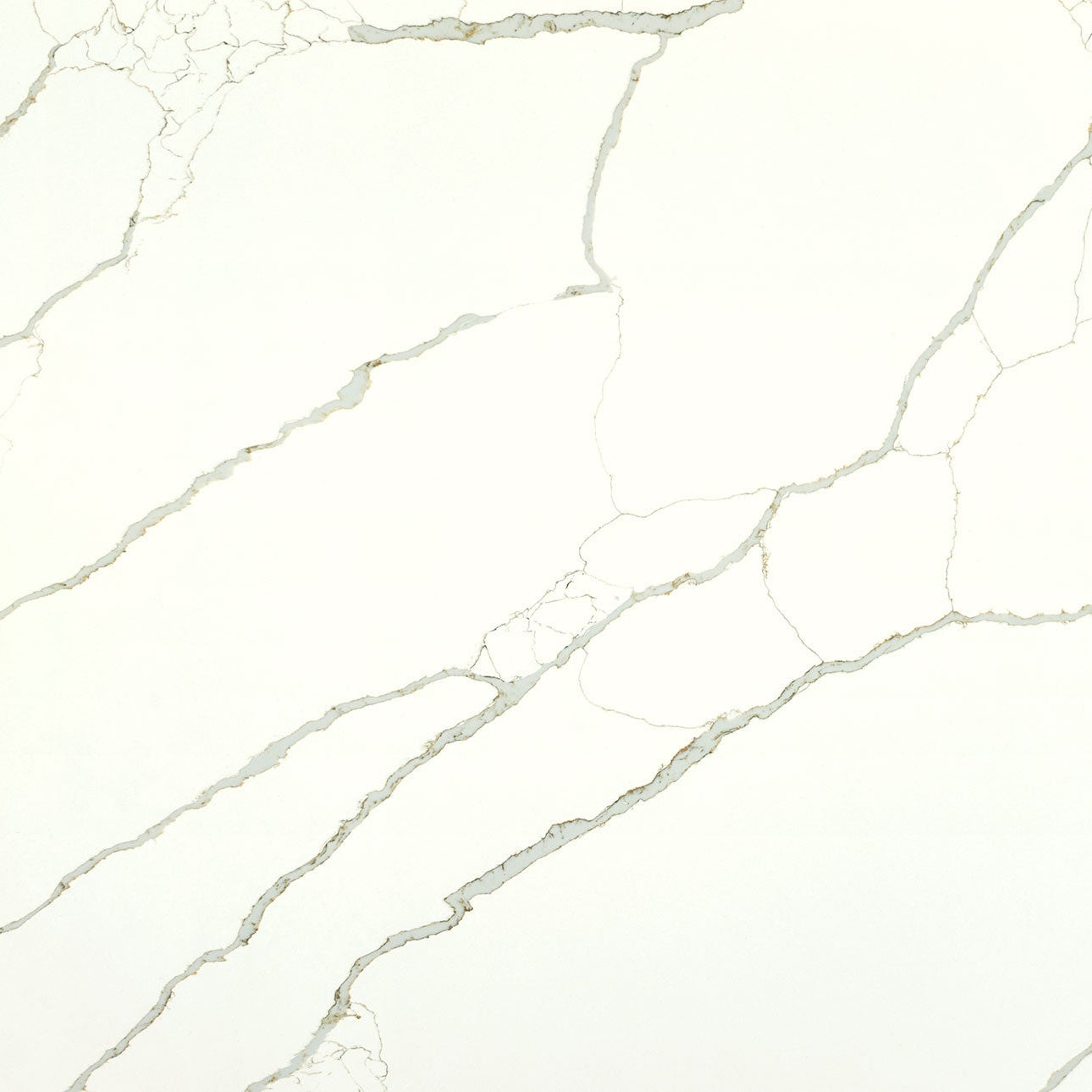New Calacatta Laza Gold by MSI Surfaces available at Aqua Kitchen